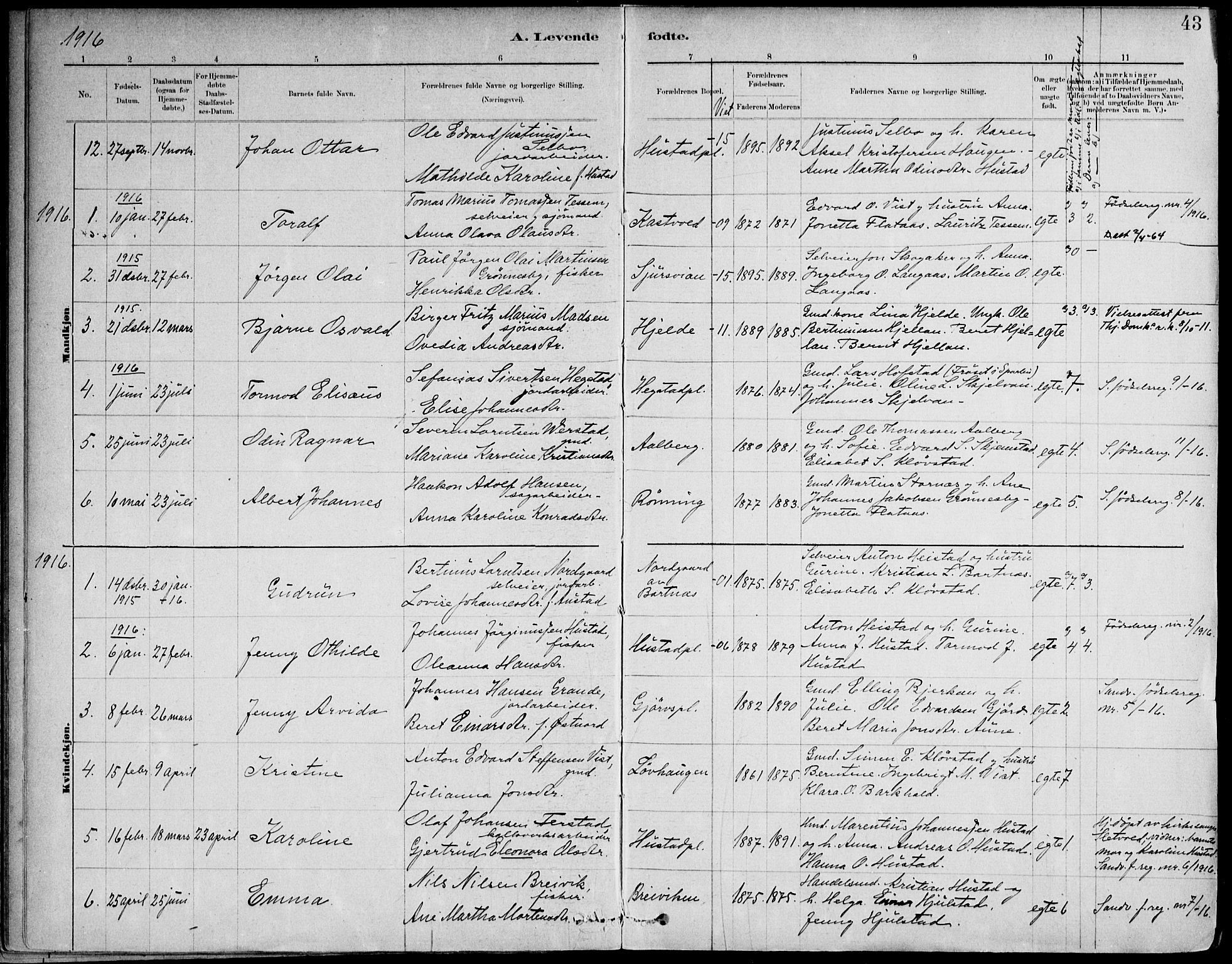 Ministerialprotokoller, klokkerbøker og fødselsregistre - Nord-Trøndelag, SAT/A-1458/732/L0316: Parish register (official) no. 732A01, 1879-1921, p. 43