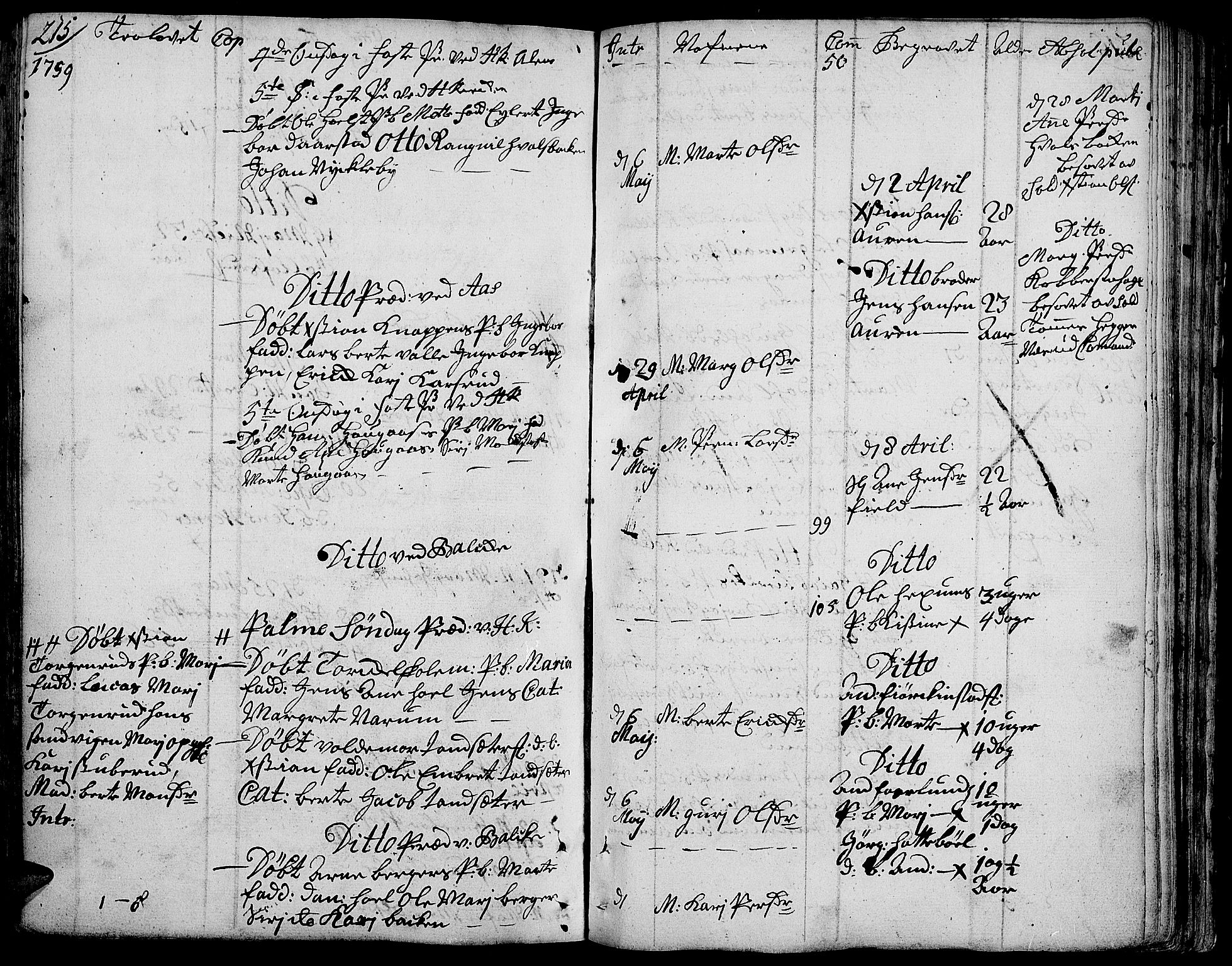 Toten prestekontor, SAH/PREST-102/H/Ha/Haa/L0004: Parish register (official) no. 4, 1751-1761, p. 215