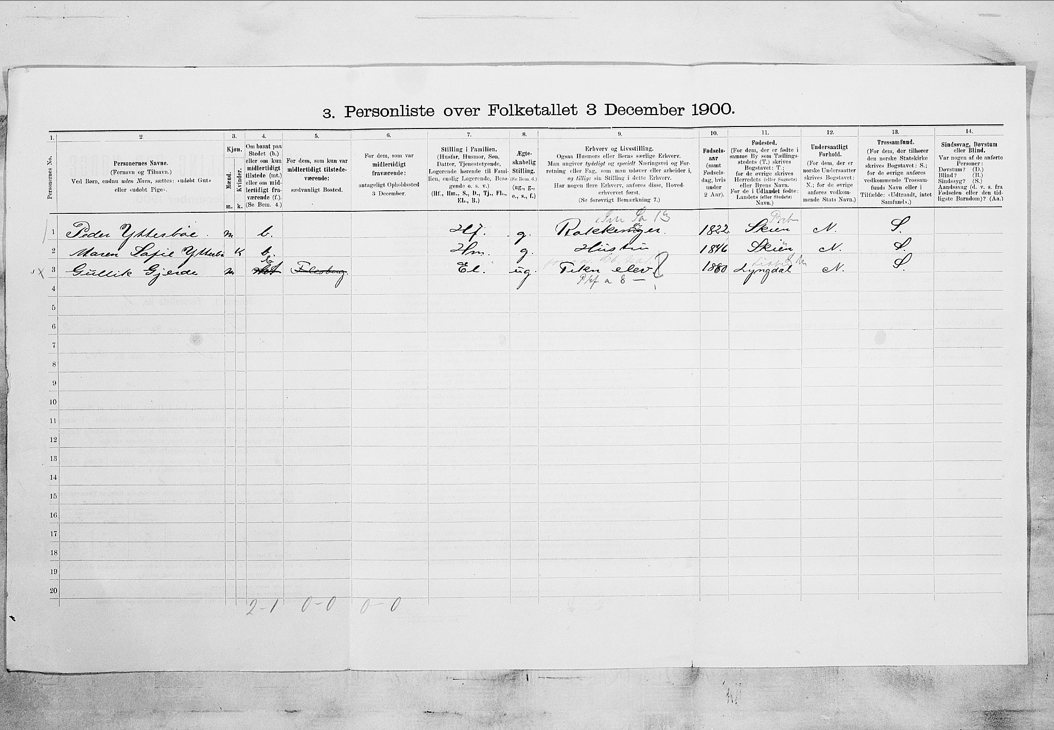 SAKO, 1900 census for Porsgrunn, 1900, p. 325
