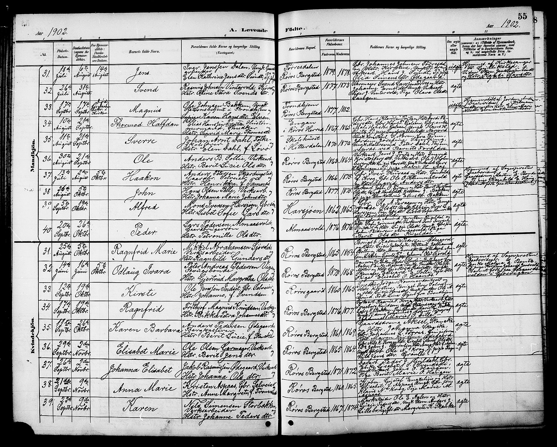 Ministerialprotokoller, klokkerbøker og fødselsregistre - Sør-Trøndelag, AV/SAT-A-1456/681/L0941: Parish register (copy) no. 681C05, 1896-1905, p. 55