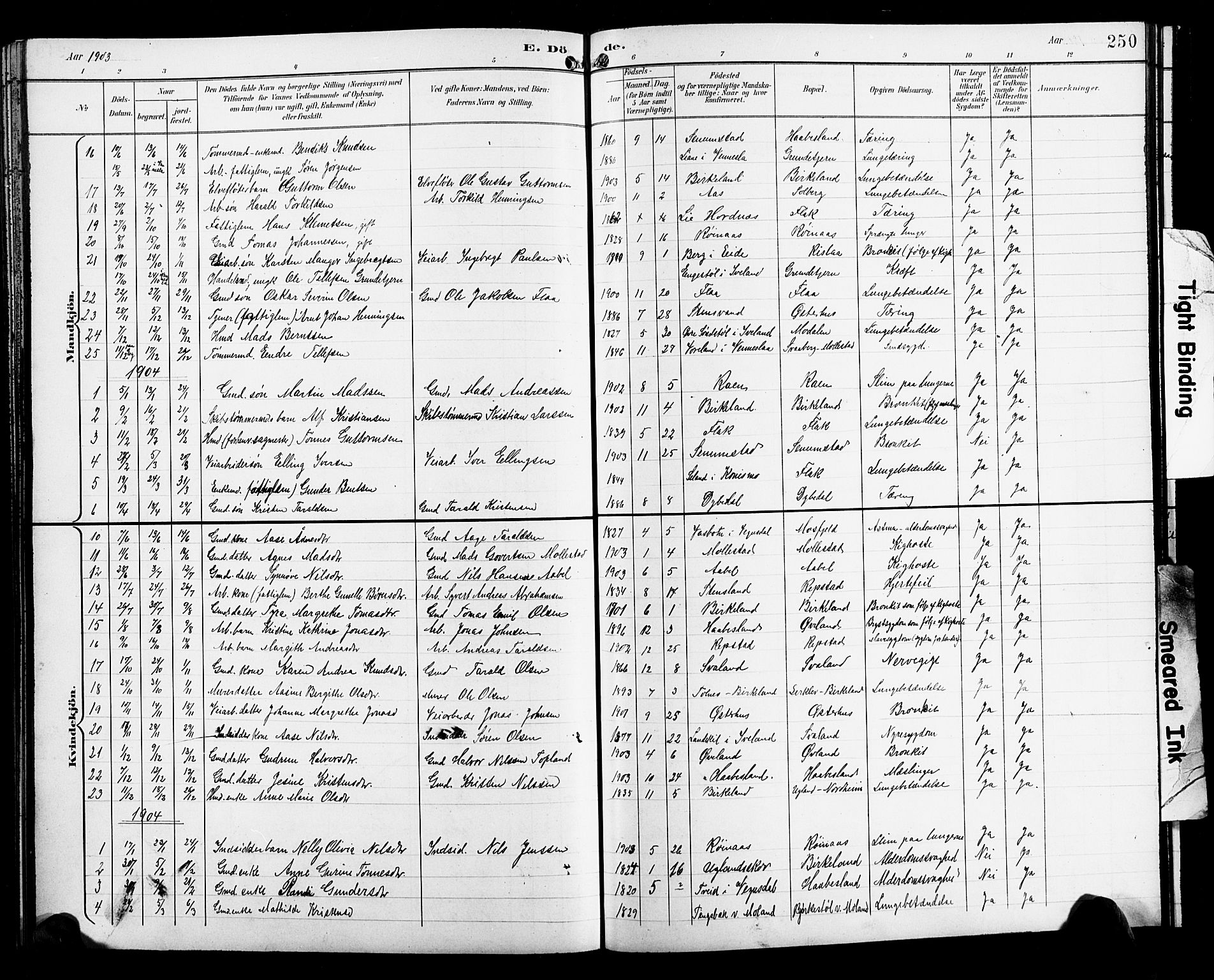 Birkenes sokneprestkontor, SAK/1111-0004/F/Fb/L0004: Parish register (copy) no. B 4, 1893-1930, p. 250