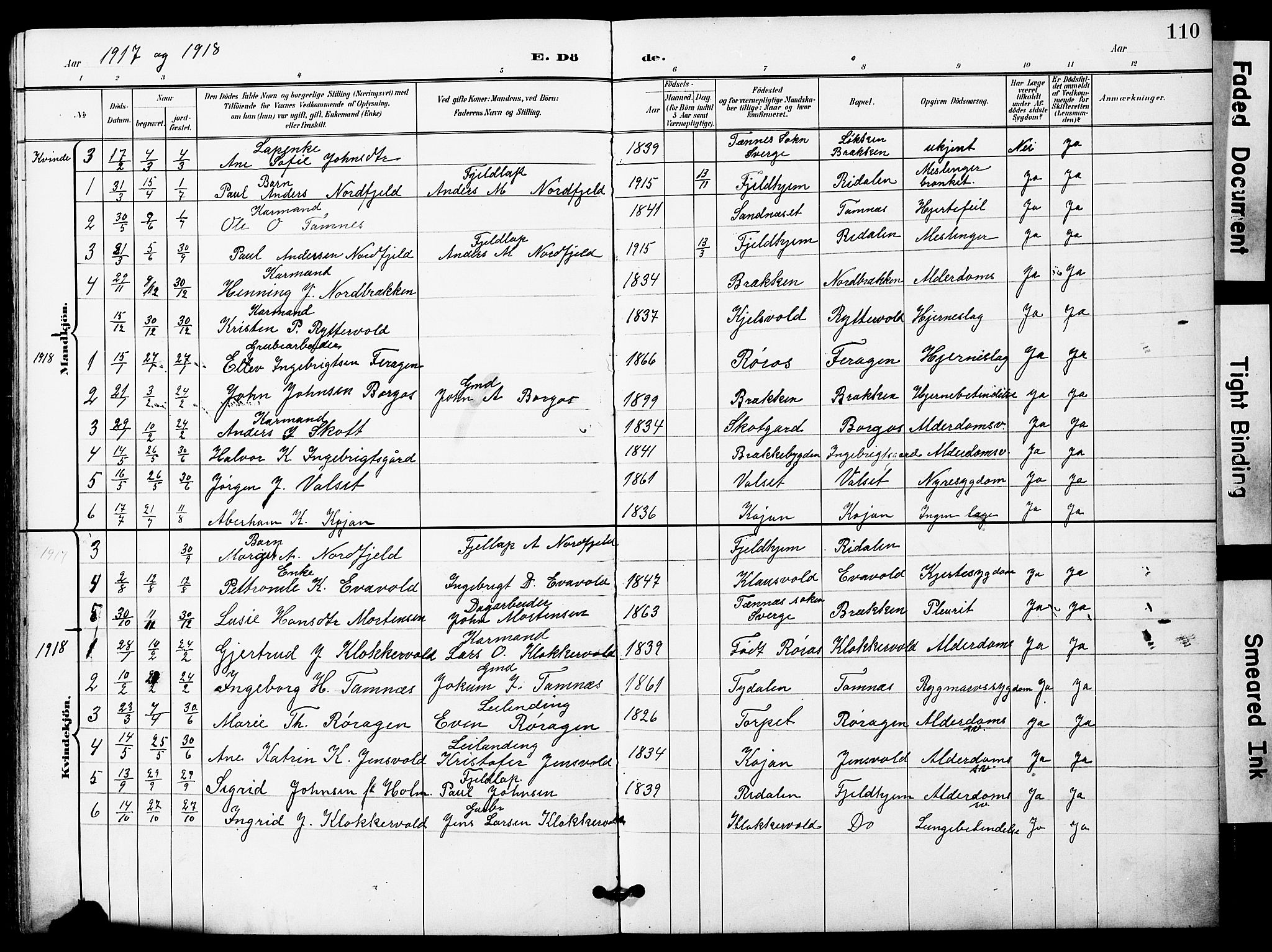 Ministerialprotokoller, klokkerbøker og fødselsregistre - Sør-Trøndelag, SAT/A-1456/683/L0950: Parish register (copy) no. 683C02, 1897-1918, p. 110