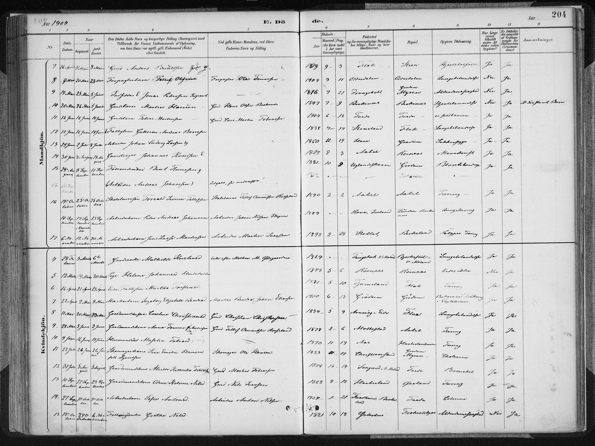 Birkenes sokneprestkontor, SAK/1111-0004/F/Fa/L0005: Parish register (official) no. A 5, 1887-1907, p. 204