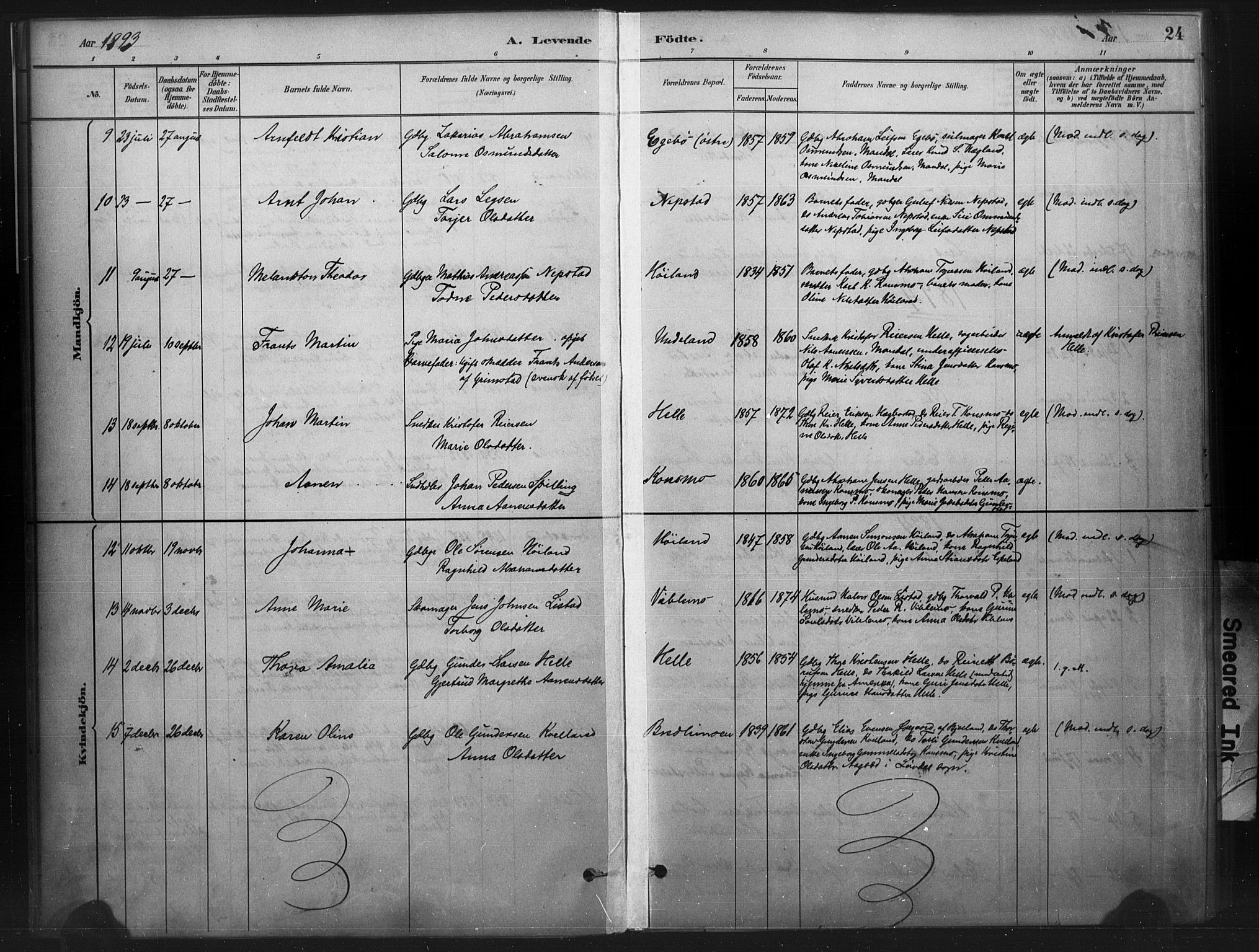 Nord-Audnedal sokneprestkontor, AV/SAK-1111-0032/F/Fa/Faa/L0003: Parish register (official) no. A 3, 1882-1900, p. 24