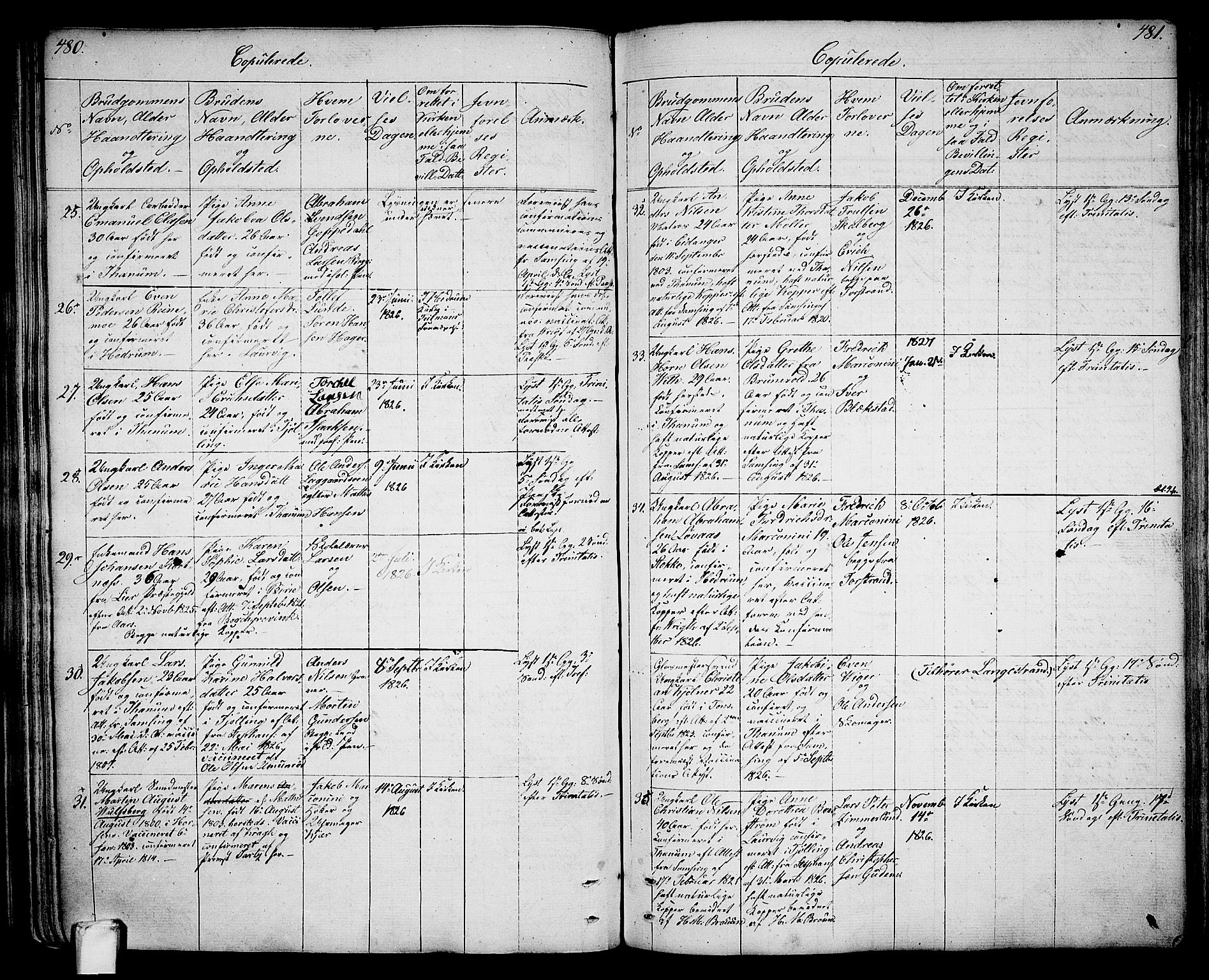 Larvik kirkebøker, AV/SAKO-A-352/G/Ga/L0002: Parish register (copy) no. I 2, 1807-1830, p. 480-481