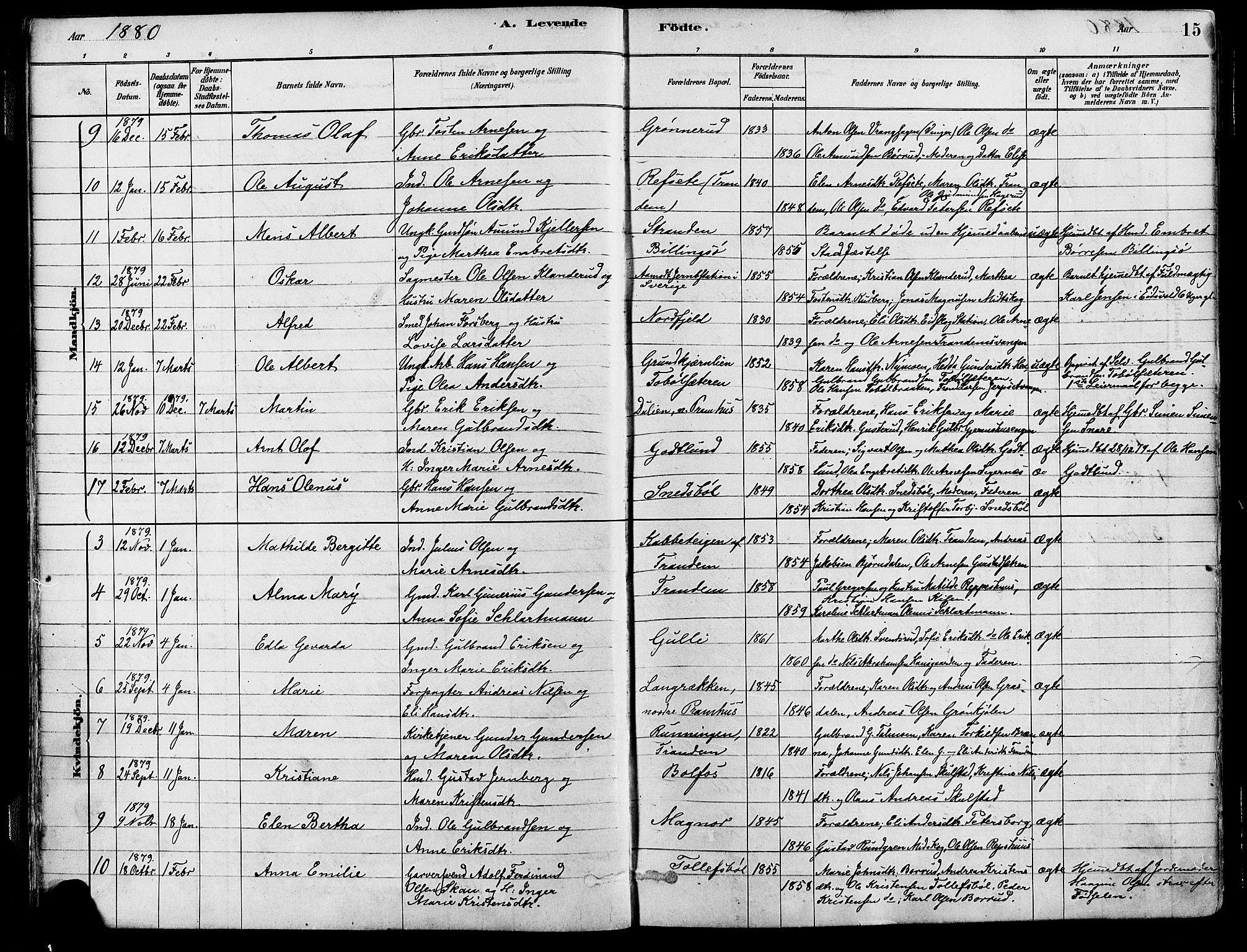 Eidskog prestekontor, SAH/PREST-026/H/Ha/Haa/L0003: Parish register (official) no. 3, 1879-1892, p. 15