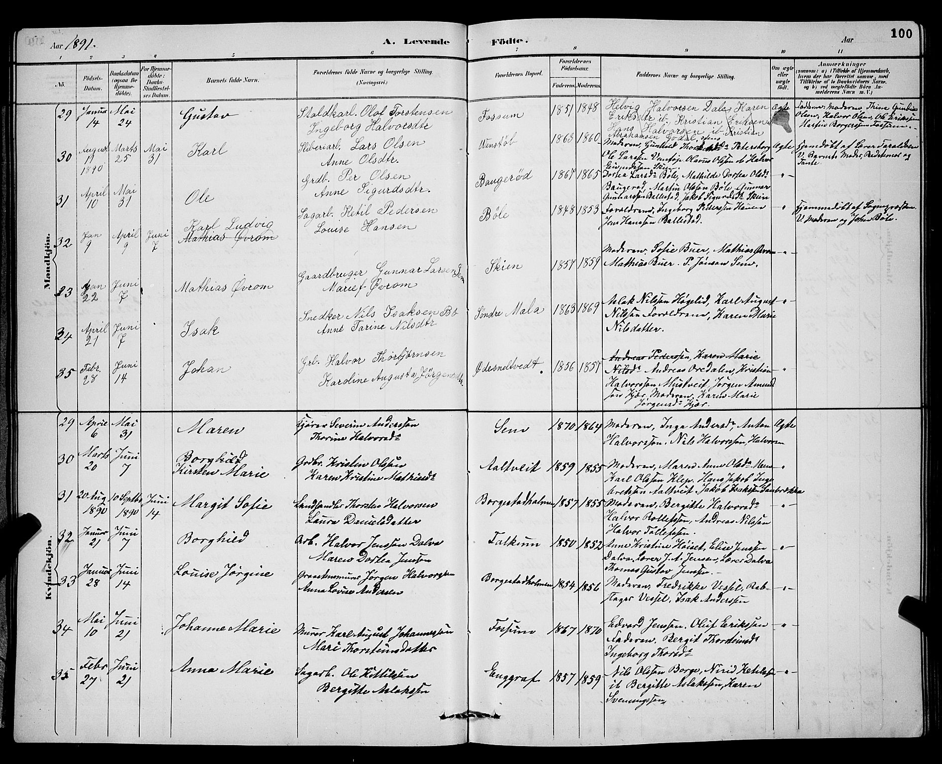 Gjerpen kirkebøker, AV/SAKO-A-265/G/Ga/L0002: Parish register (copy) no. I 2, 1883-1900, p. 100