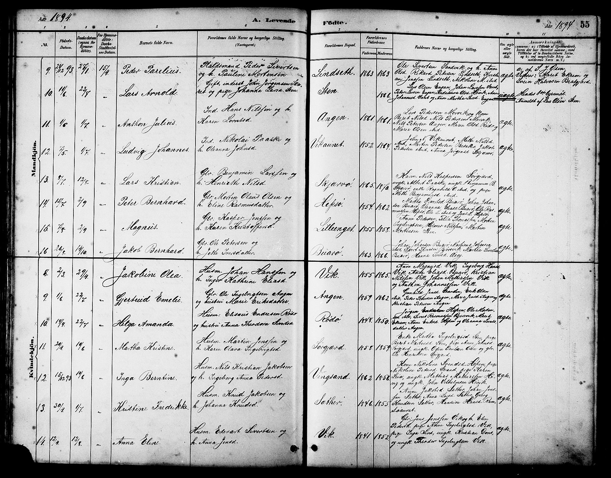 Ministerialprotokoller, klokkerbøker og fødselsregistre - Sør-Trøndelag, SAT/A-1456/658/L0726: Parish register (copy) no. 658C02, 1883-1908, p. 55