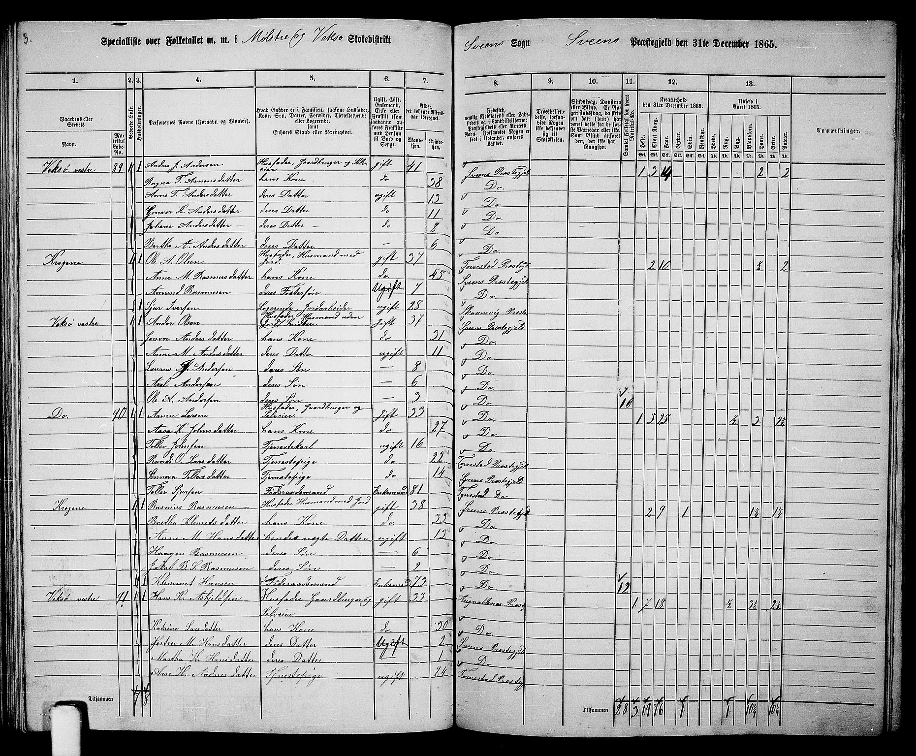 RA, 1865 census for Sveio, 1865, p. 119