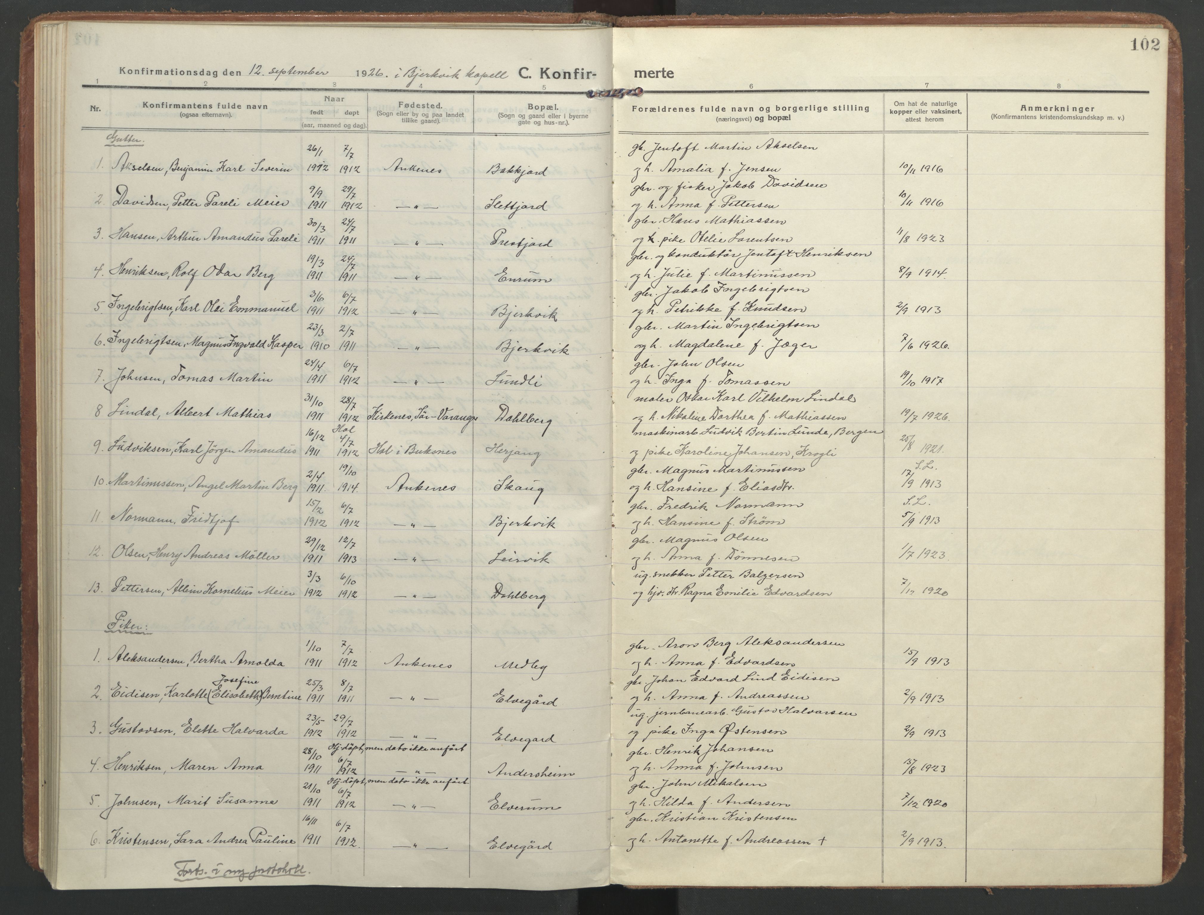 Ministerialprotokoller, klokkerbøker og fødselsregistre - Nordland, SAT/A-1459/866/L0944: Parish register (official) no. 866A07, 1906-1926, p. 102