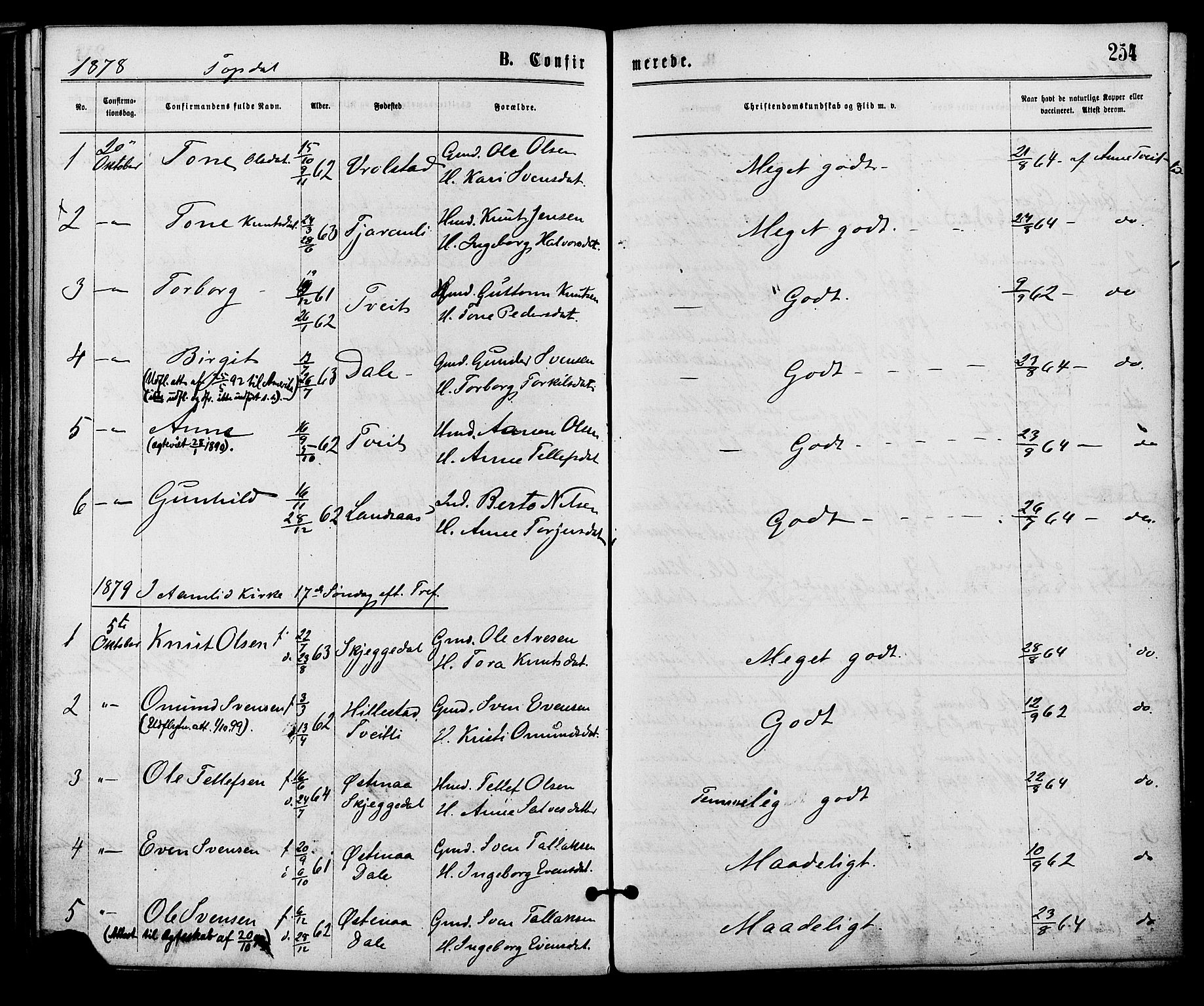 Åmli sokneprestkontor, AV/SAK-1111-0050/F/Fa/Fac/L0009: Parish register (official) no. A 9 /3, 1869-1884, p. 254