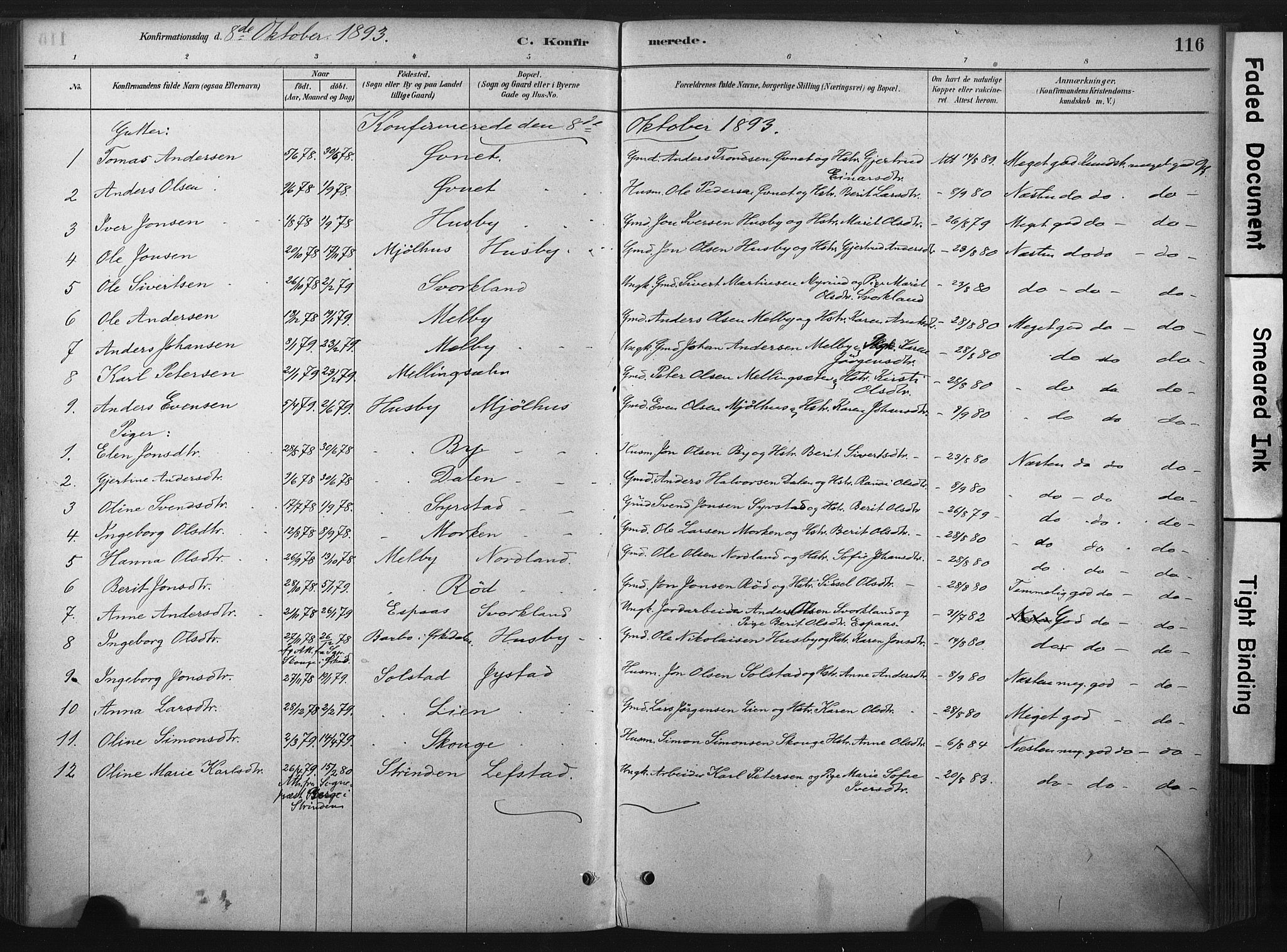 Ministerialprotokoller, klokkerbøker og fødselsregistre - Sør-Trøndelag, SAT/A-1456/667/L0795: Parish register (official) no. 667A03, 1879-1907, p. 116