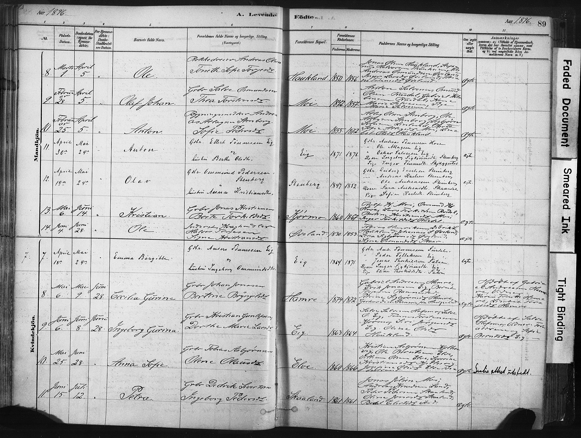 Lund sokneprestkontor, AV/SAST-A-101809/S06/L0011: Parish register (official) no. A 10, 1877-1904, p. 89