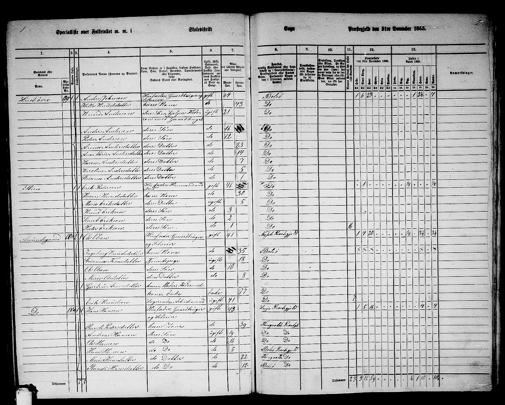 RA, 1865 census for Bolsøy, 1865, p. 111