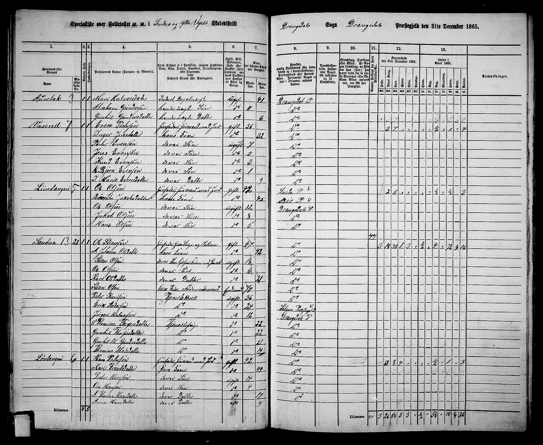 RA, 1865 census for Drangedal, 1865, p. 31