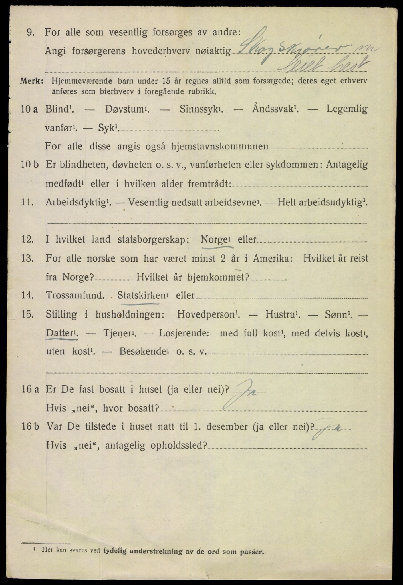 SAH, 1920 census for Hof, 1920, p. 5358