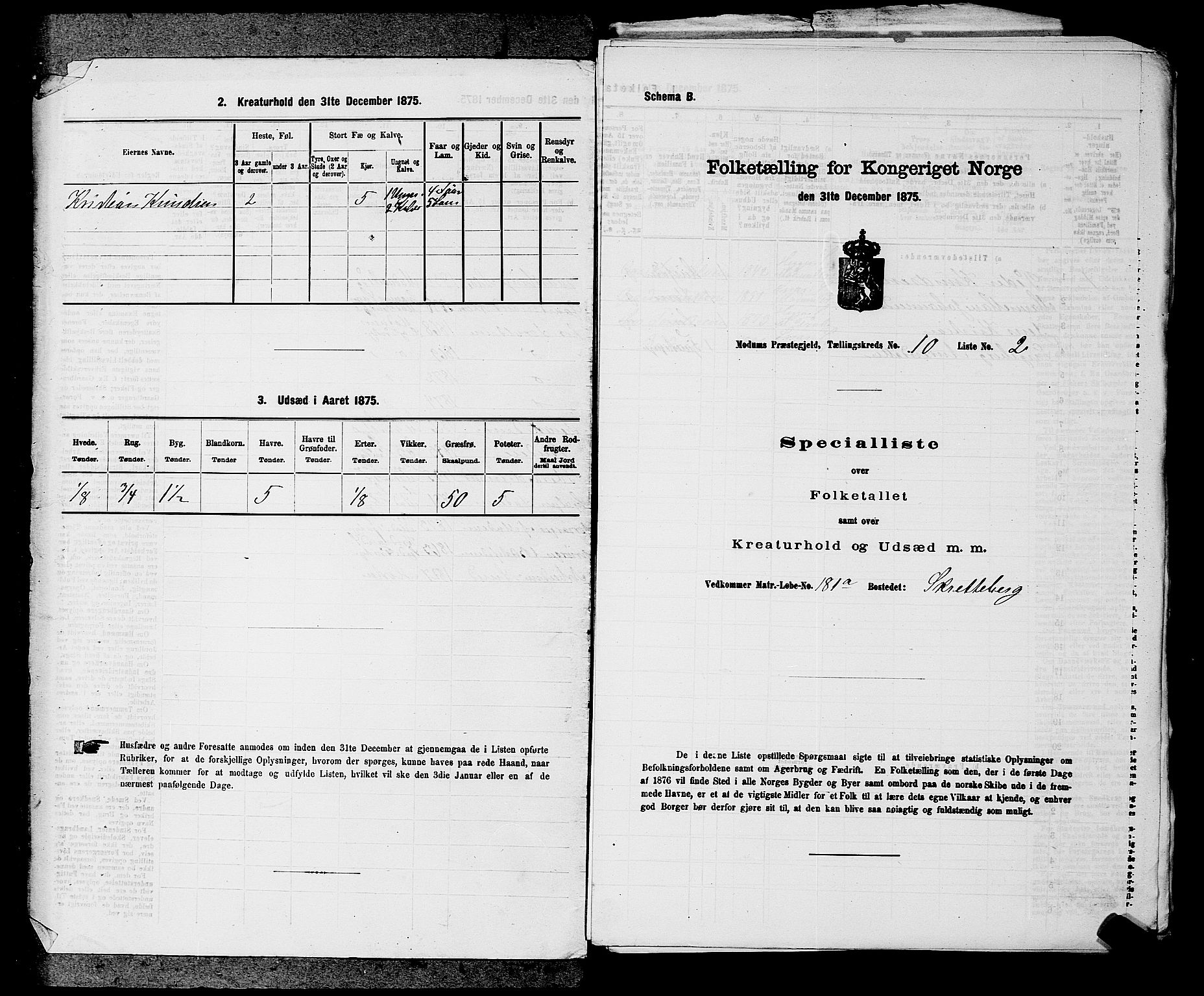 SAKO, 1875 census for 0623P Modum, 1875, p. 1151