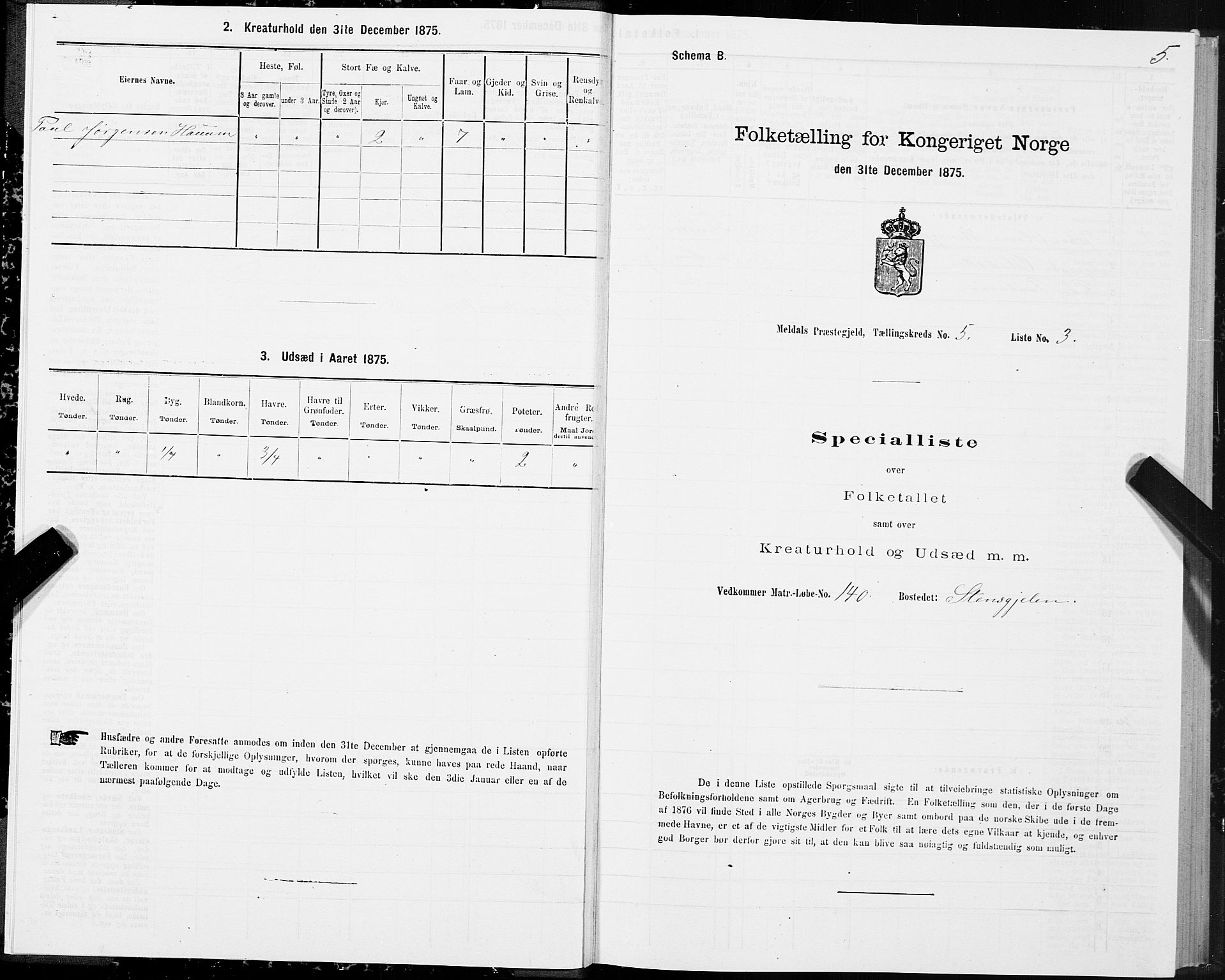 SAT, 1875 census for 1636P Meldal, 1875, p. 3005