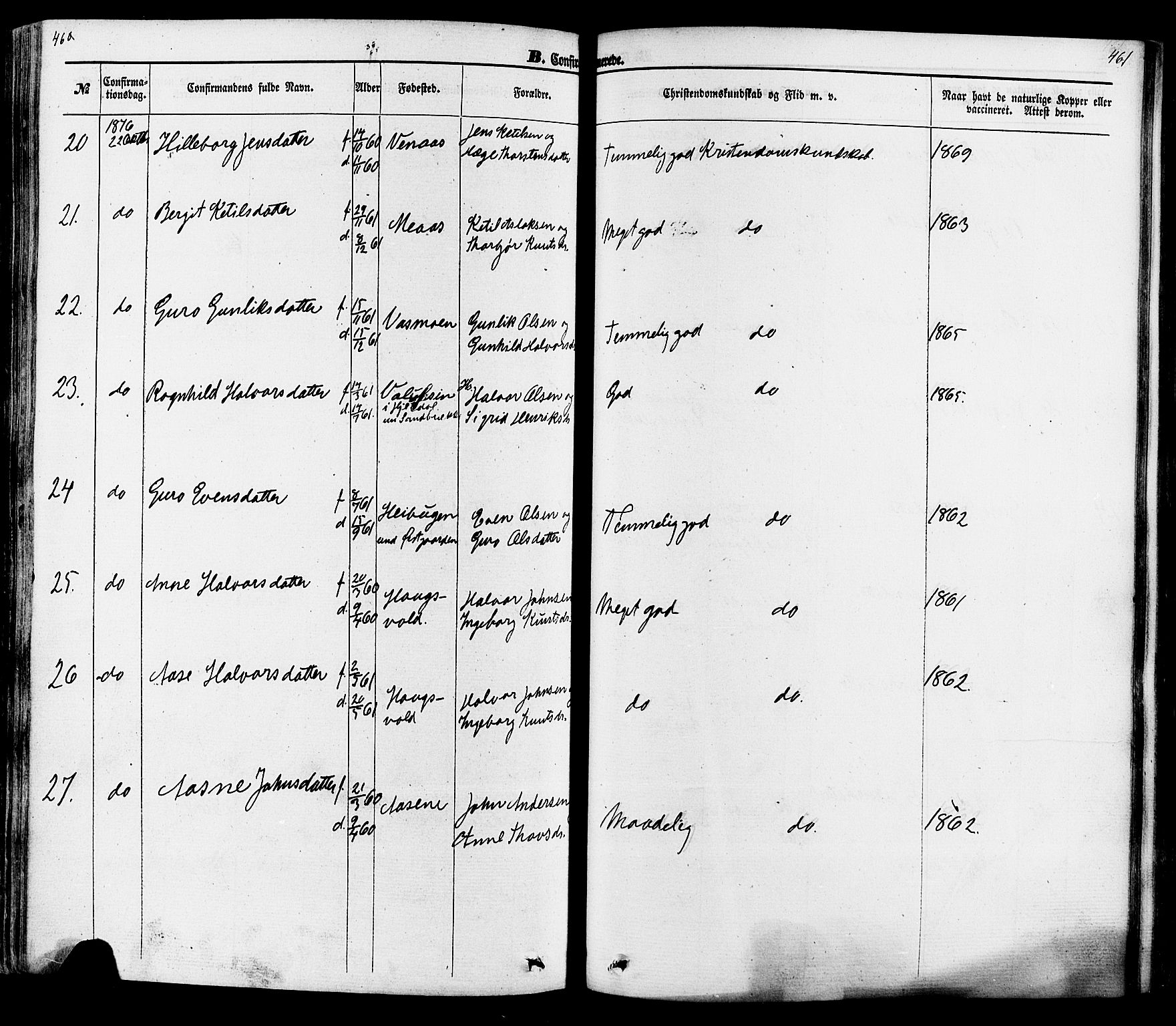 Seljord kirkebøker, AV/SAKO-A-20/F/Fa/L0013: Parish register (official) no. I 13, 1866-1876, p. 460-461
