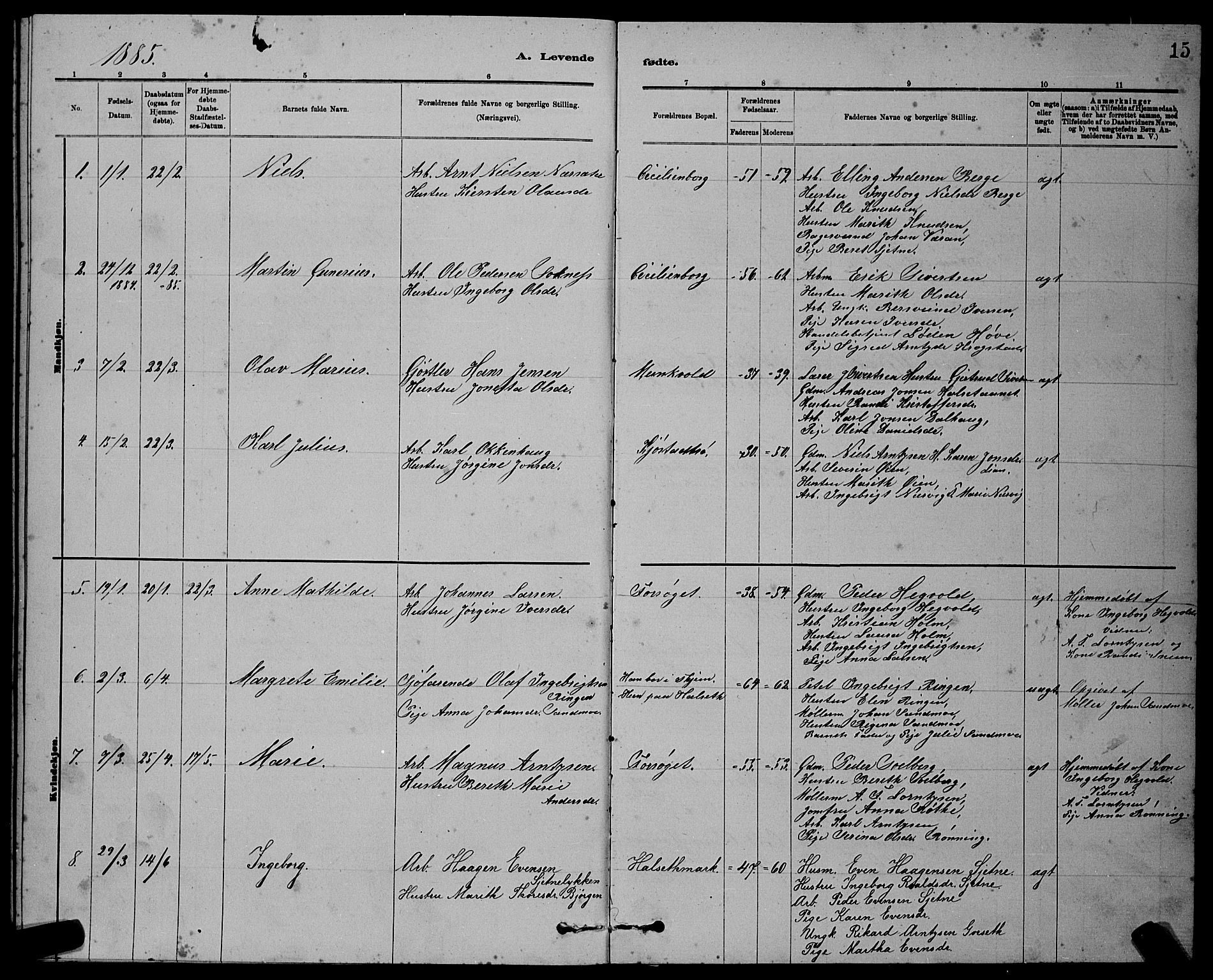Ministerialprotokoller, klokkerbøker og fødselsregistre - Sør-Trøndelag, SAT/A-1456/611/L0354: Parish register (copy) no. 611C02, 1881-1896, p. 15