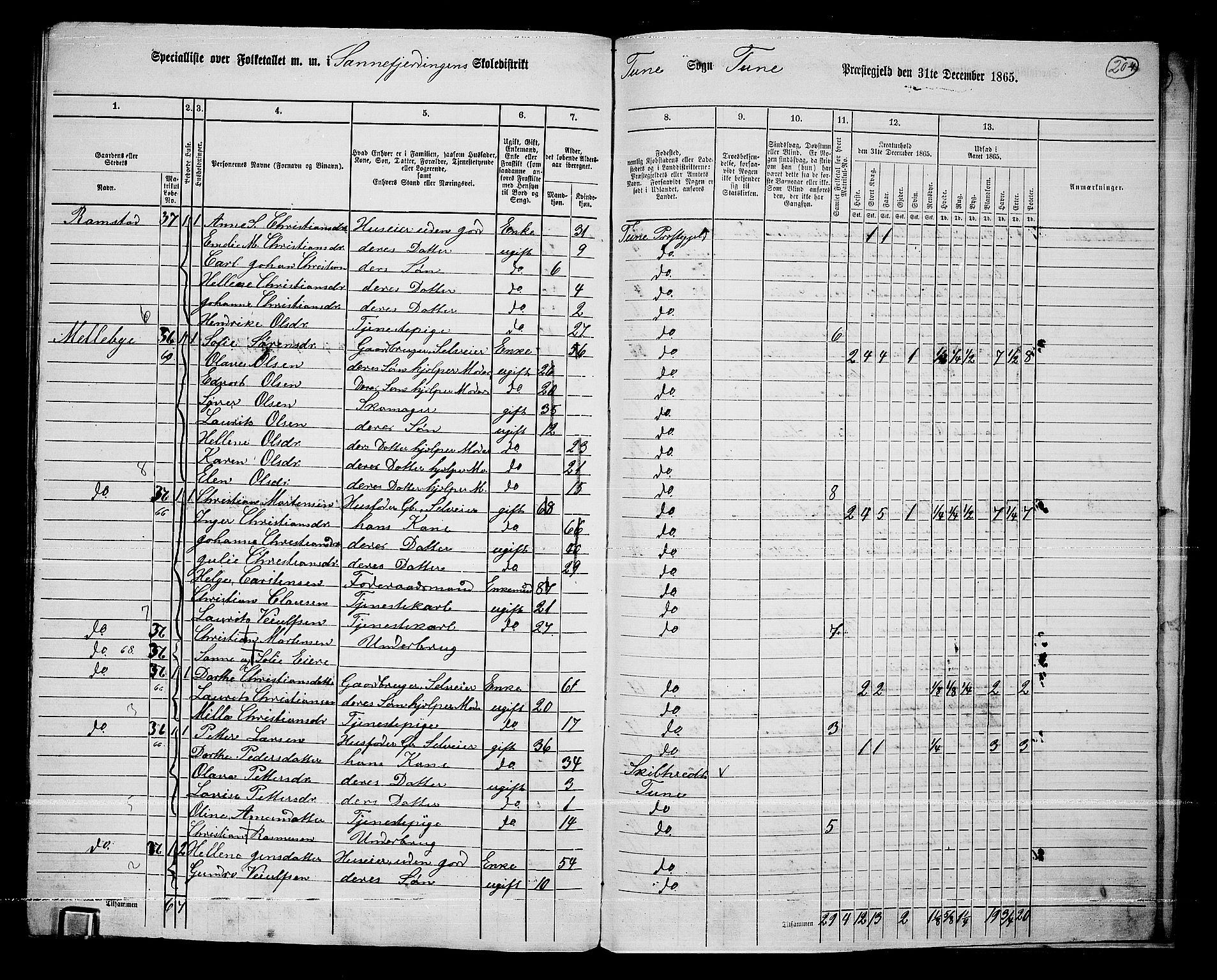 RA, 1865 census for Tune, 1865, p. 272