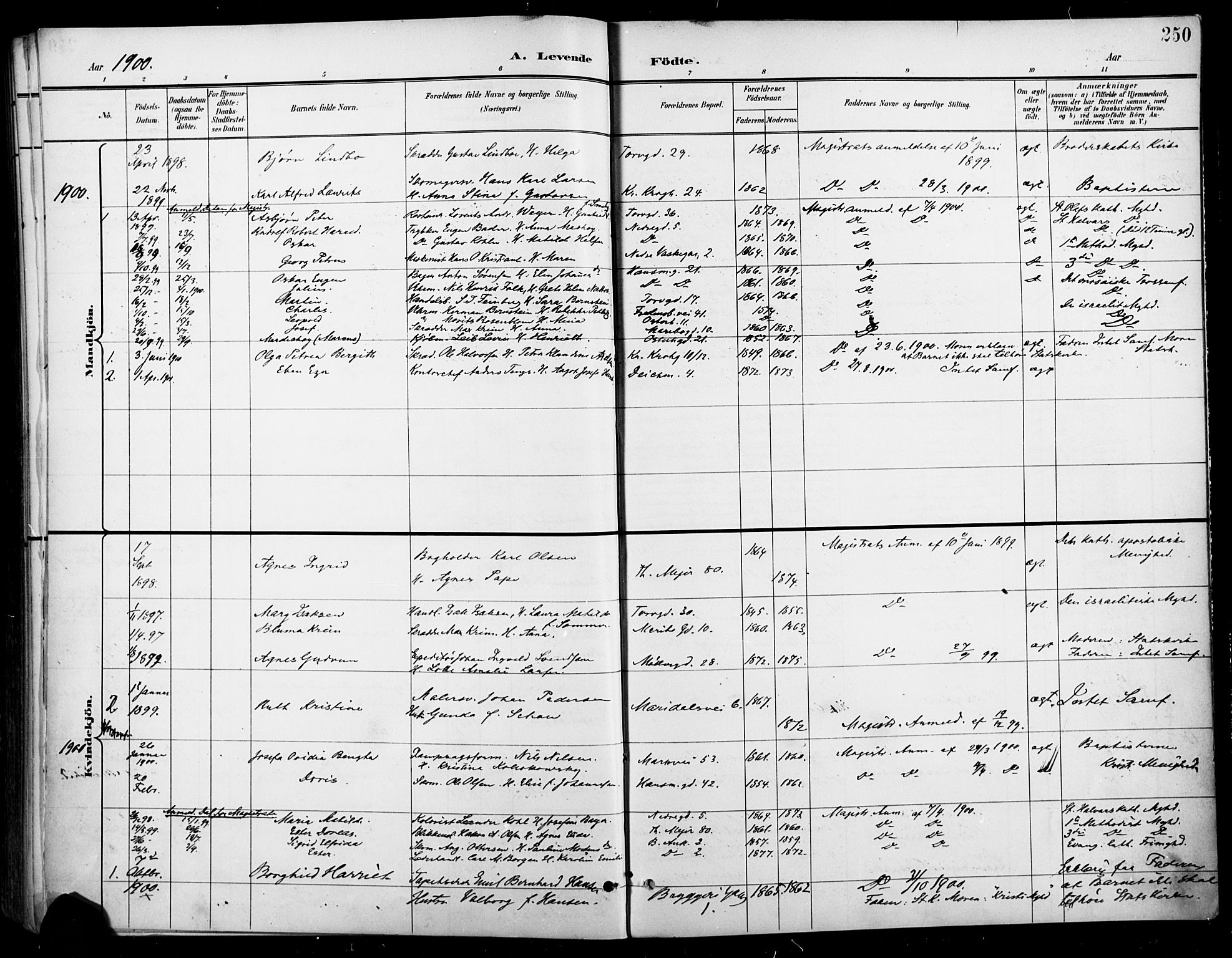Jakob prestekontor Kirkebøker, SAO/A-10850/F/Fa/L0005: Parish register (official) no. 5, 1896-1903, p. 250