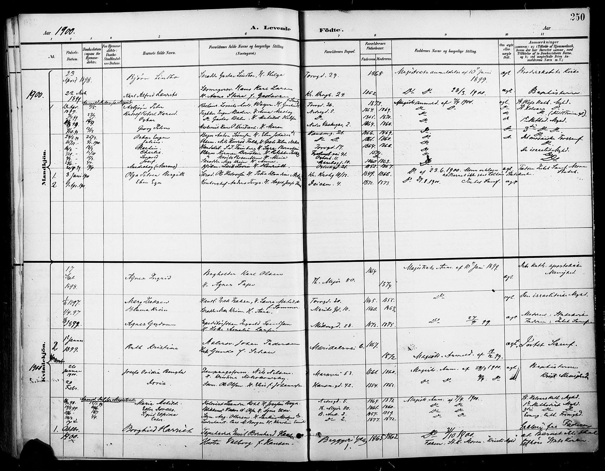 Jakob prestekontor Kirkebøker, AV/SAO-A-10850/F/Fa/L0005: Parish register (official) no. 5, 1896-1903, p. 250