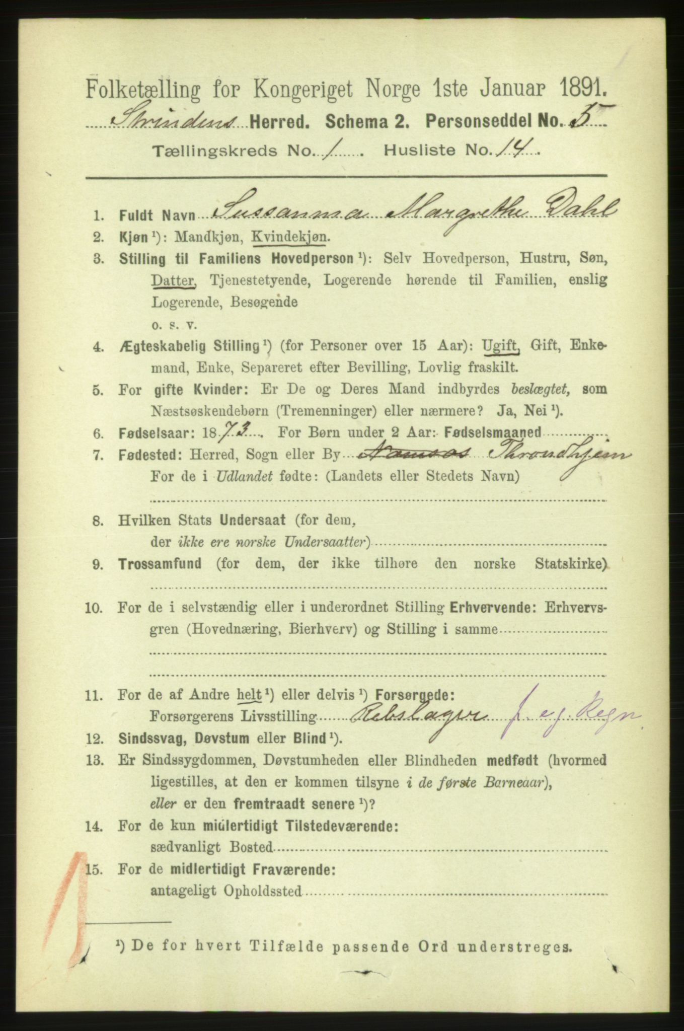 RA, 1891 census for 1660 Strinda, 1891, p. 244