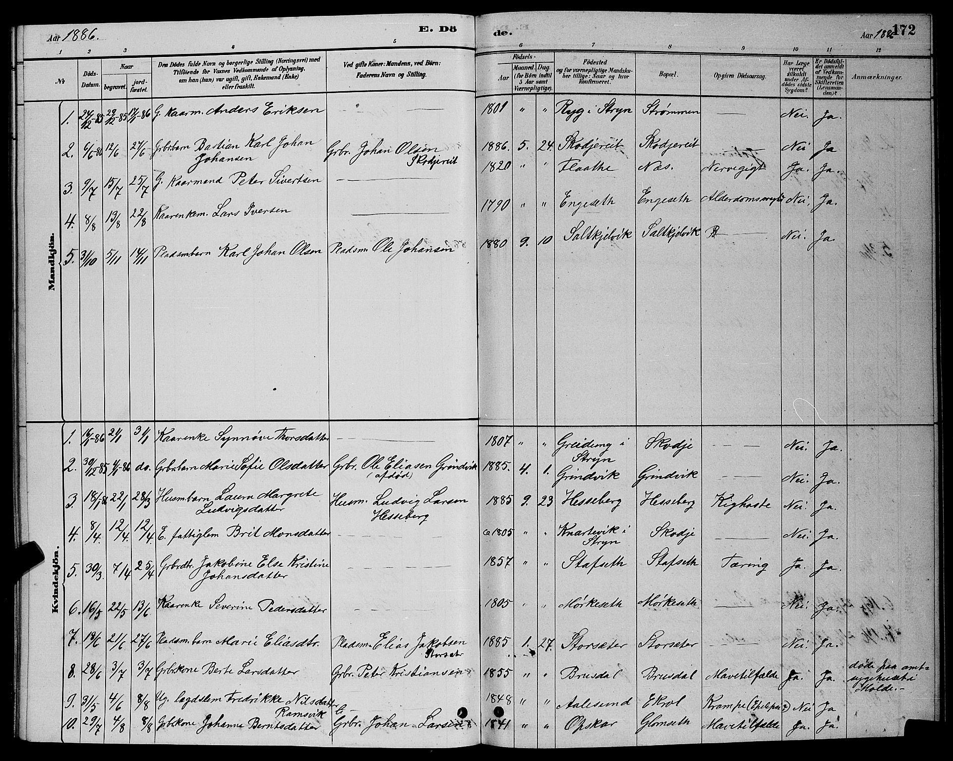 Ministerialprotokoller, klokkerbøker og fødselsregistre - Møre og Romsdal, AV/SAT-A-1454/524/L0365: Parish register (copy) no. 524C06, 1880-1899, p. 172