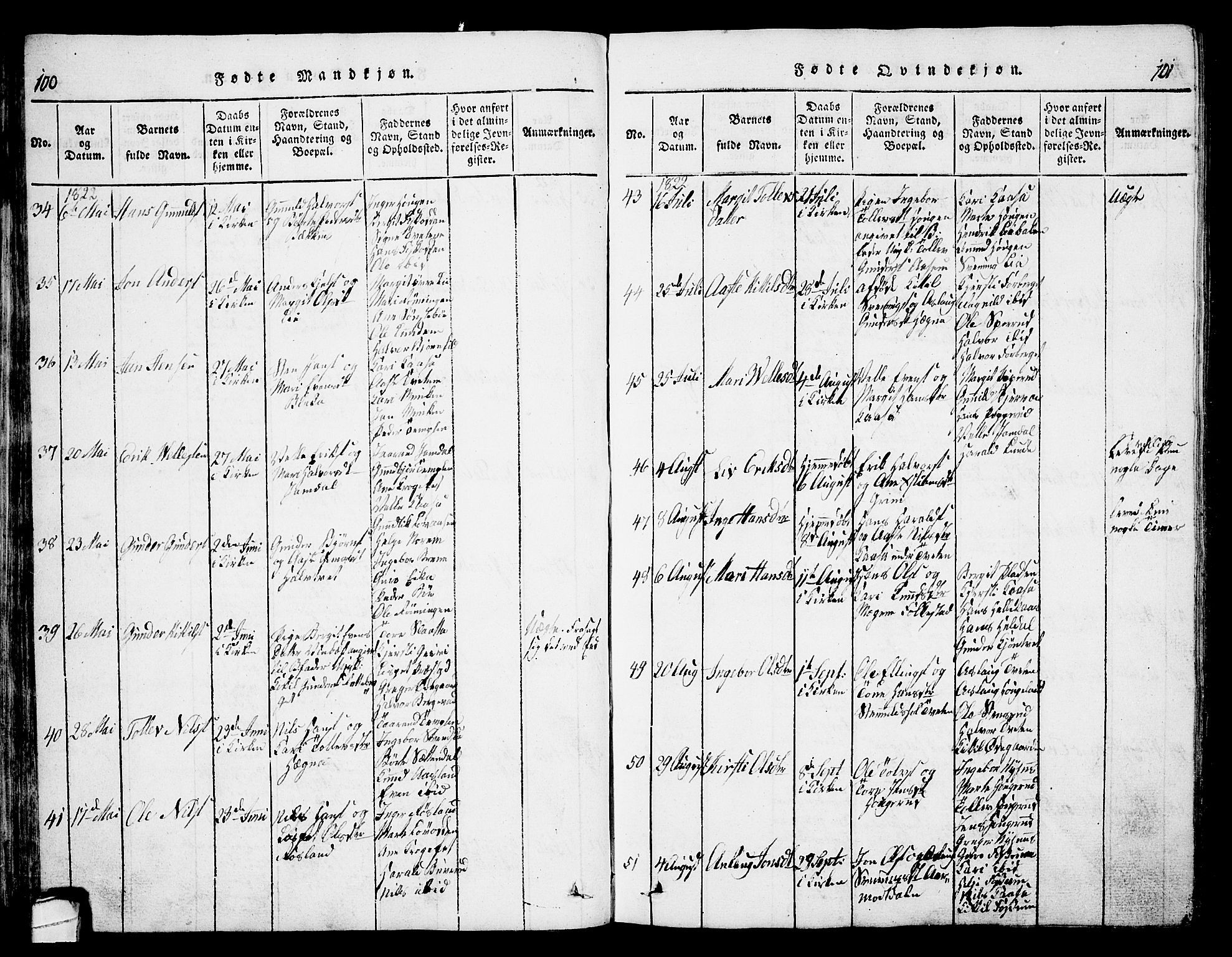 Bø kirkebøker, SAKO/A-257/G/Ga/L0001: Parish register (copy) no. 1, 1815-1831, p. 100-101