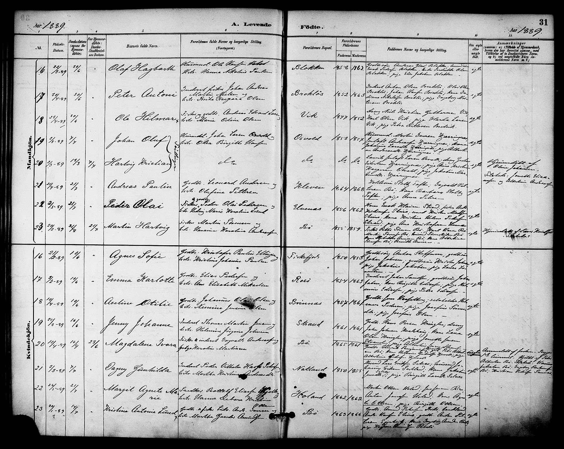 Ministerialprotokoller, klokkerbøker og fødselsregistre - Nordland, AV/SAT-A-1459/895/L1371: Parish register (official) no. 895A06, 1885-1894, p. 31