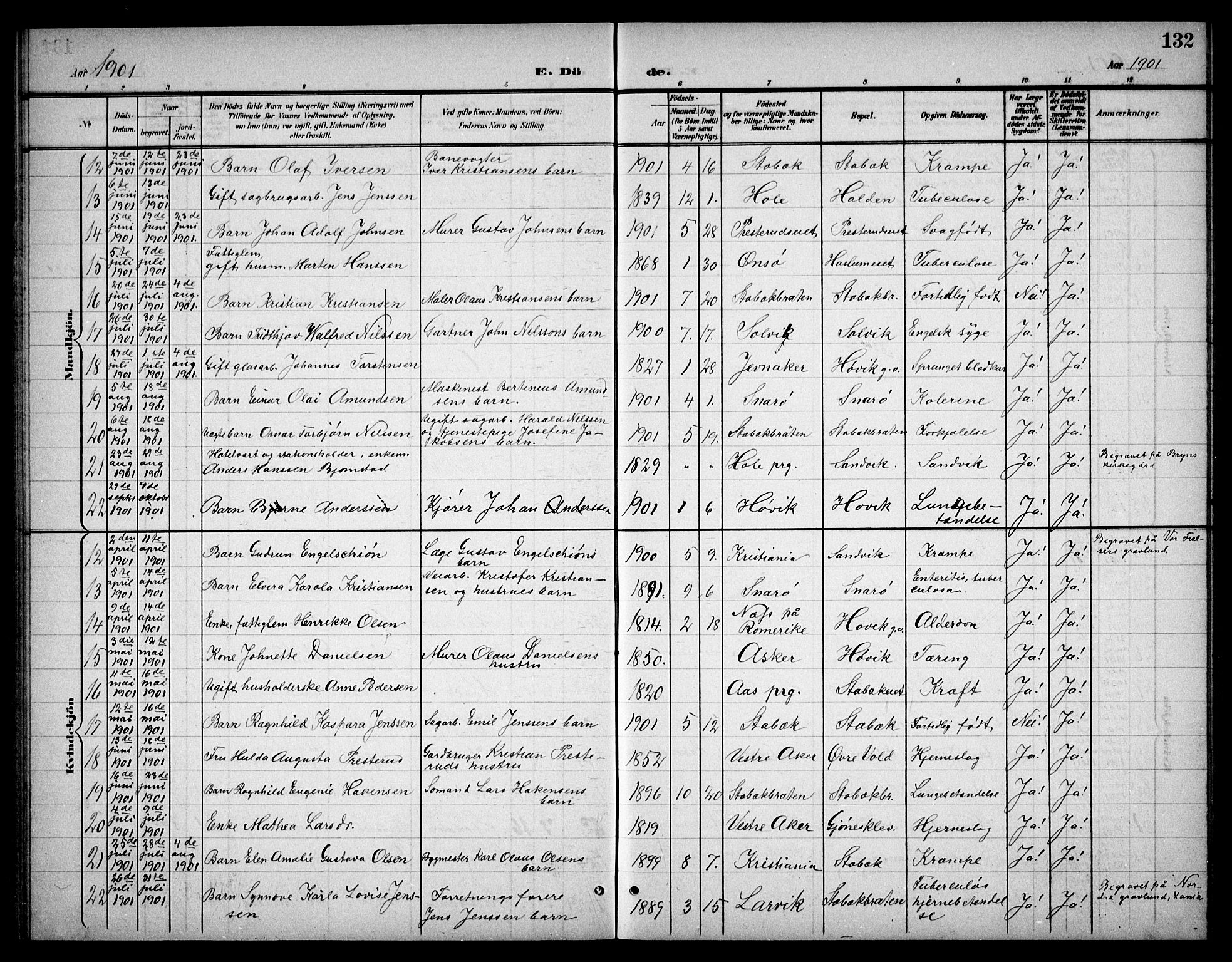 Østre Bærum prestekontor Kirkebøker, AV/SAO-A-10887/G/Ga/L0001: Parish register (copy) no. 1, 1898-1913, p. 132