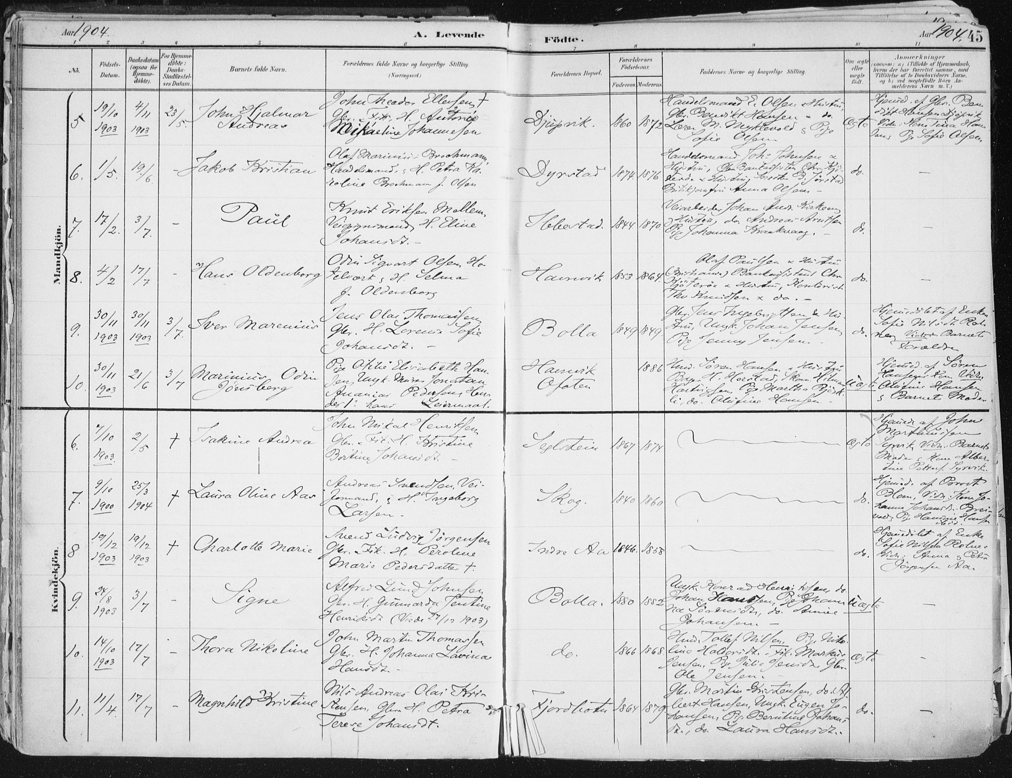 Ibestad sokneprestembete, AV/SATØ-S-0077/H/Ha/Haa/L0017kirke: Parish register (official) no. 17, 1901-1914, p. 45