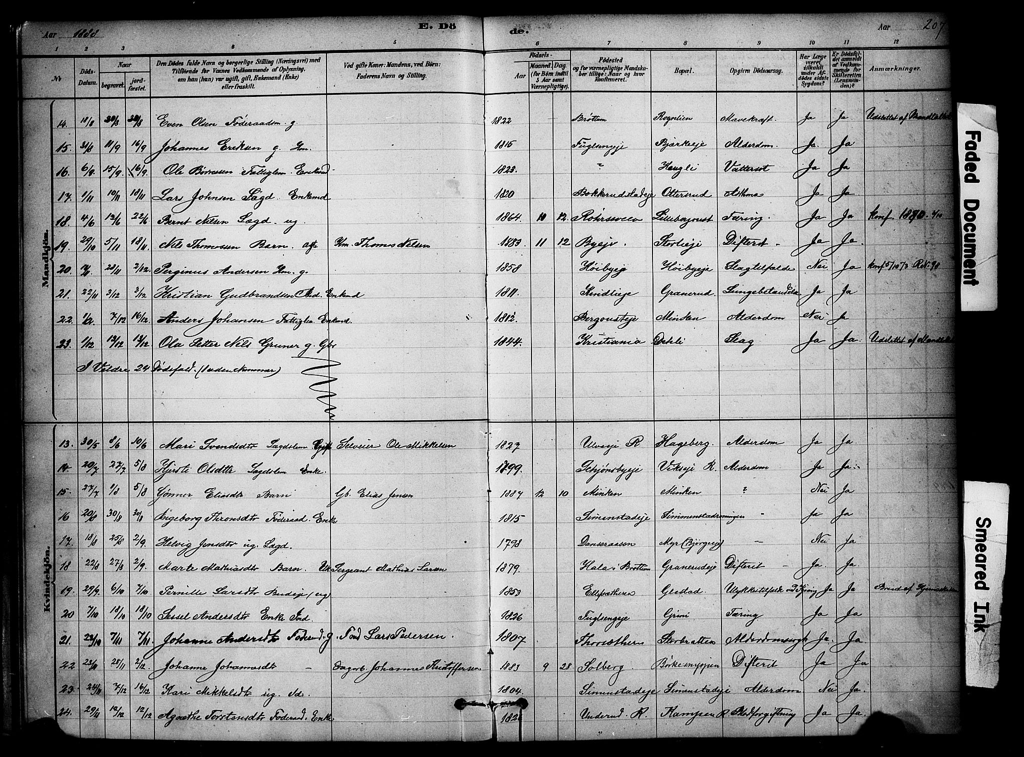 Ringsaker prestekontor, SAH/PREST-014/K/Ka/L0014: Parish register (official) no. 14, 1879-1890, p. 207