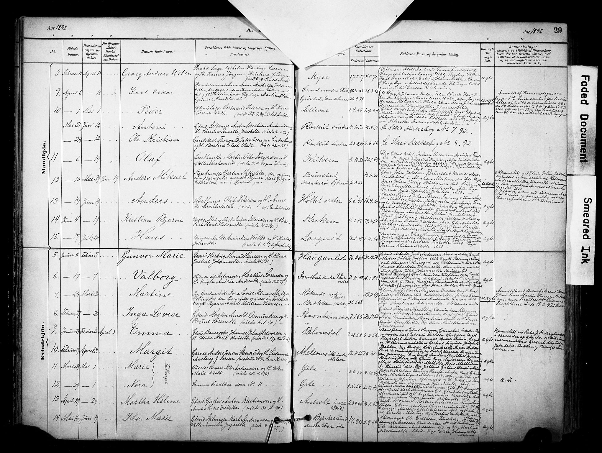 Stokke kirkebøker, AV/SAKO-A-320/F/Fa/L0010: Parish register (official) no. I 10, 1884-1903, p. 29