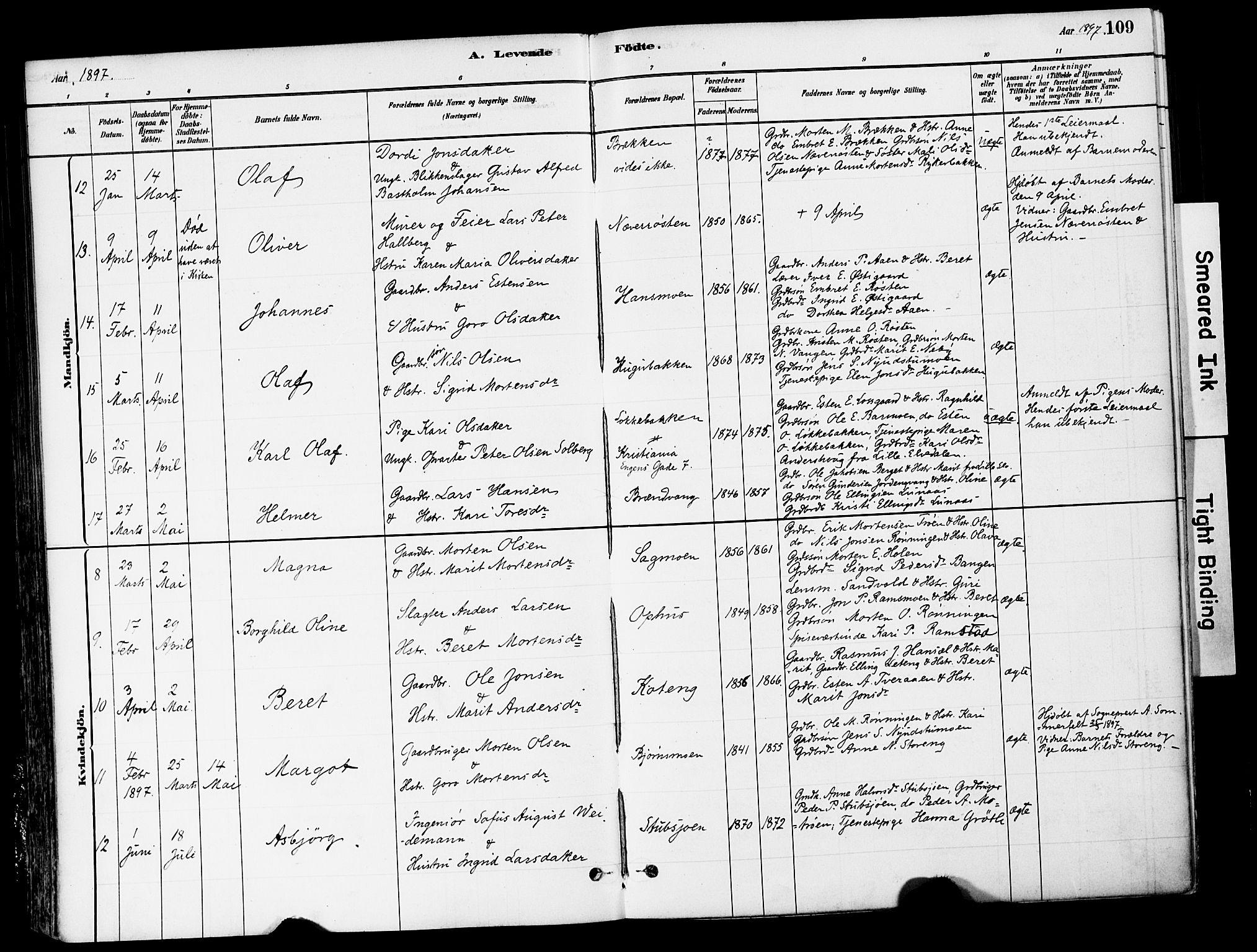 Tynset prestekontor, AV/SAH-PREST-058/H/Ha/Haa/L0022: Parish register (official) no. 22, 1880-1899, p. 109