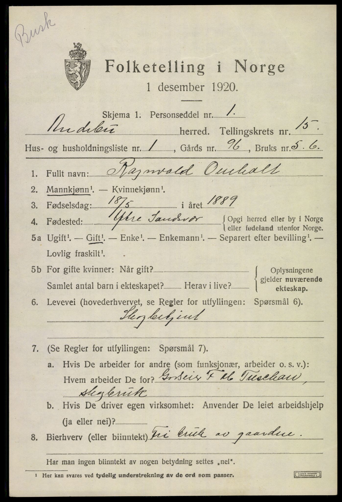 SAKO, 1920 census for Andebu, 1920, p. 5338