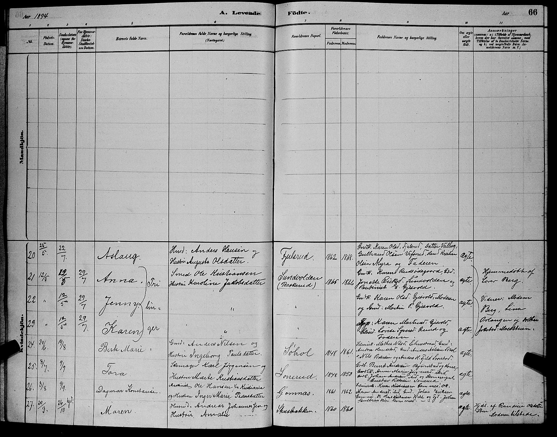 Hole kirkebøker, SAKO/A-228/G/Ga/L0003: Parish register (copy) no. I 3, 1879-1904, p. 66