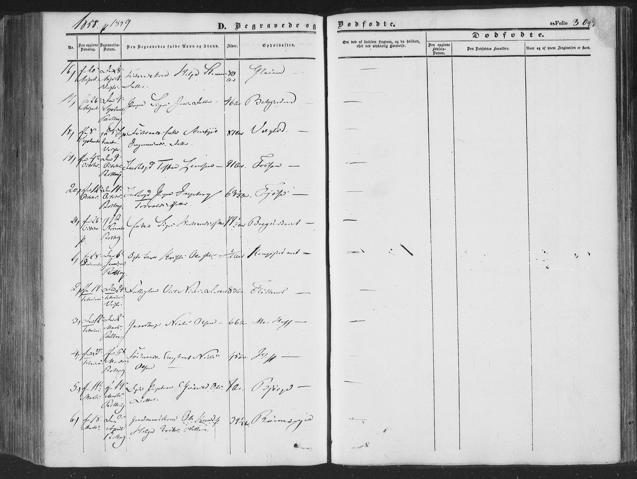Rollag kirkebøker, SAKO/A-240/F/Fa/L0008: Parish register (official) no. I 8, 1847-1860, p. 304
