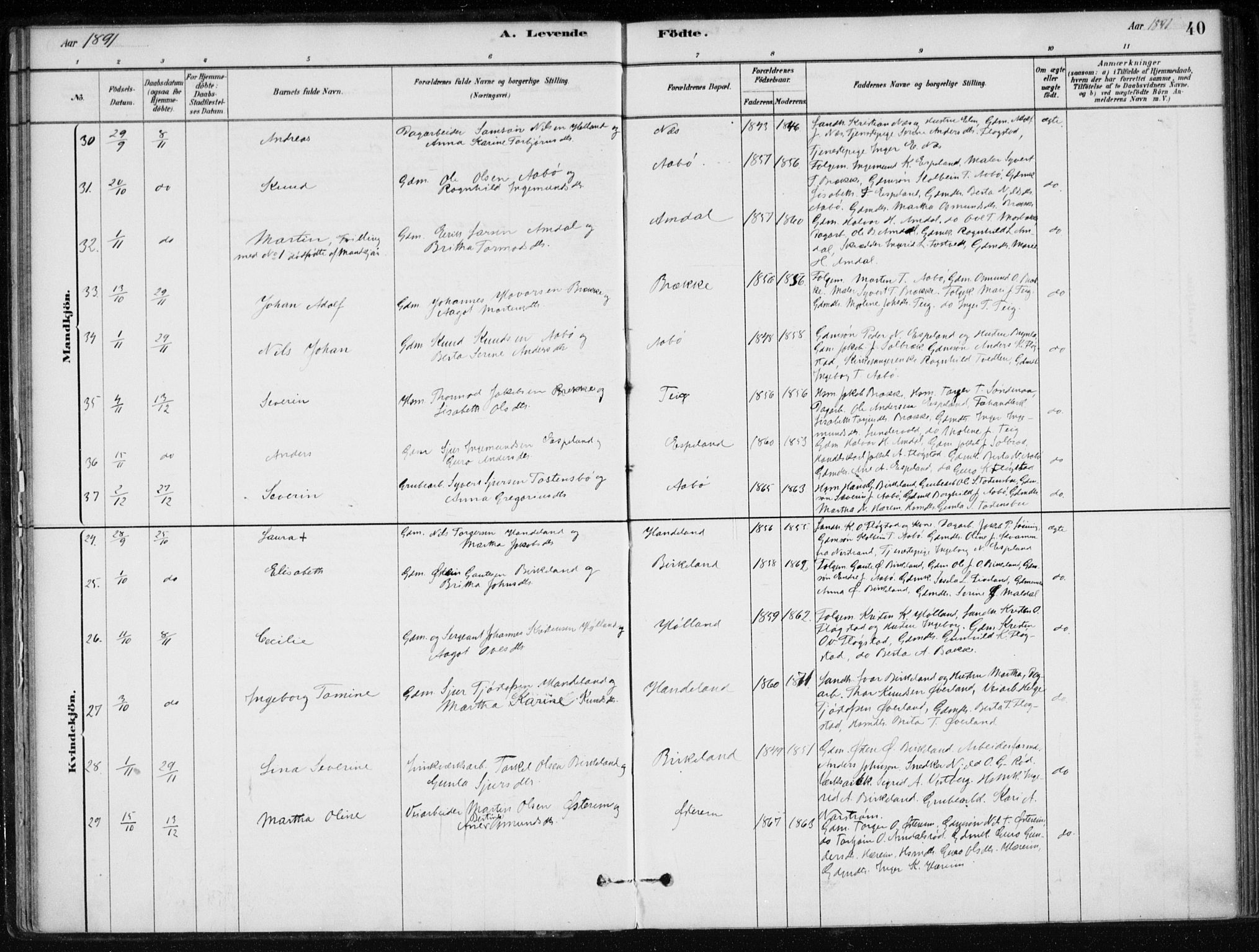 Sand sokneprestkontor, AV/SAST-A-101848/01/III/L0006: Parish register (official) no. A 6, 1880-1898, p. 40