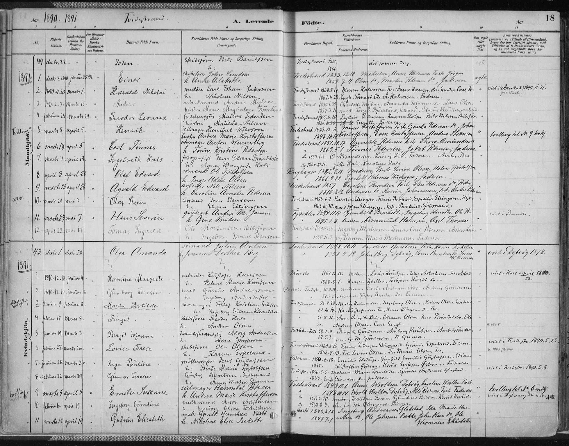 Tvedestrand sokneprestkontor, SAK/1111-0042/F/Fa/L0001: Parish register (official) no. A 1, 1885-1916, p. 18