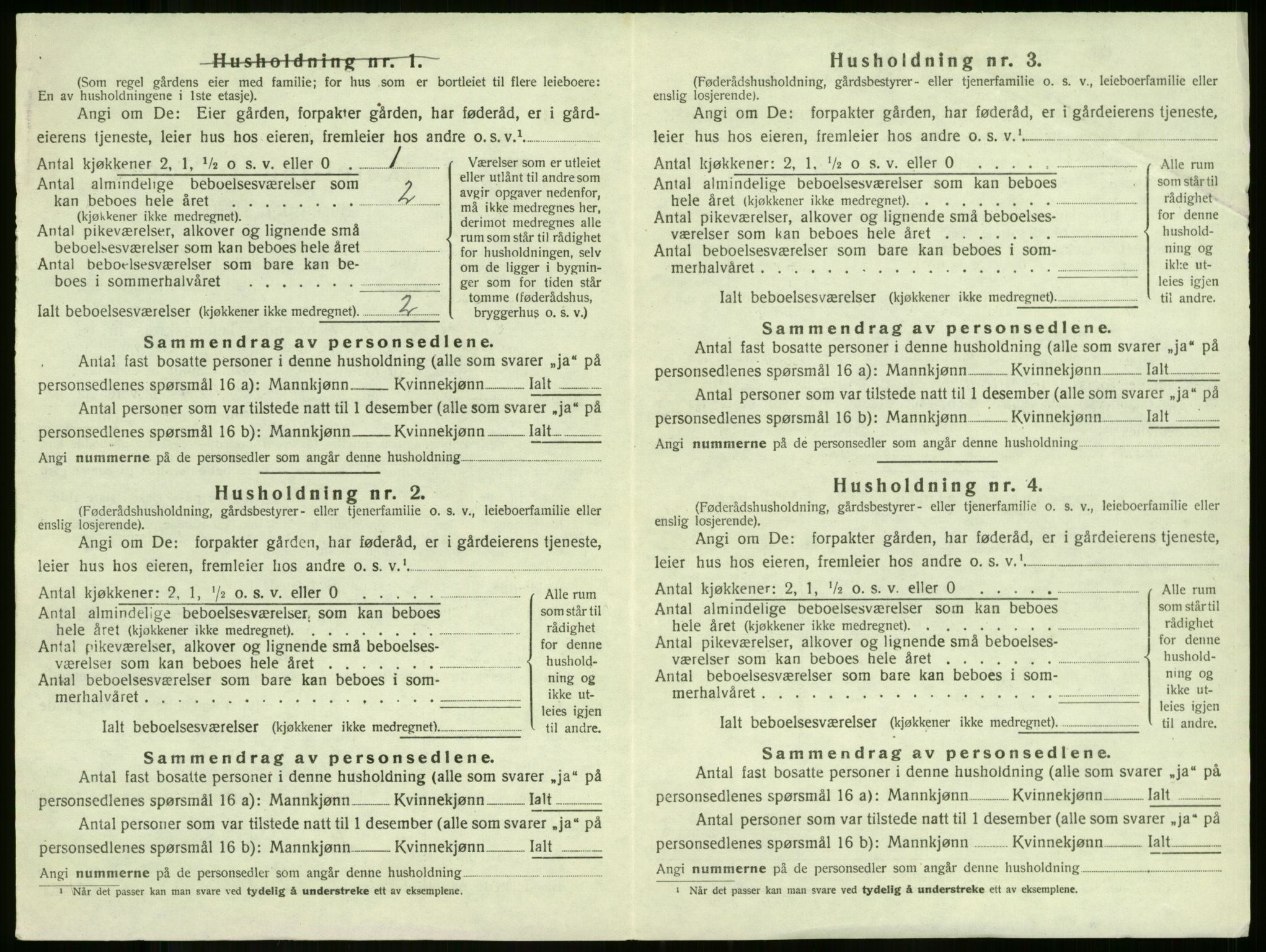 SAKO, 1920 census for Ramnes, 1920, p. 594