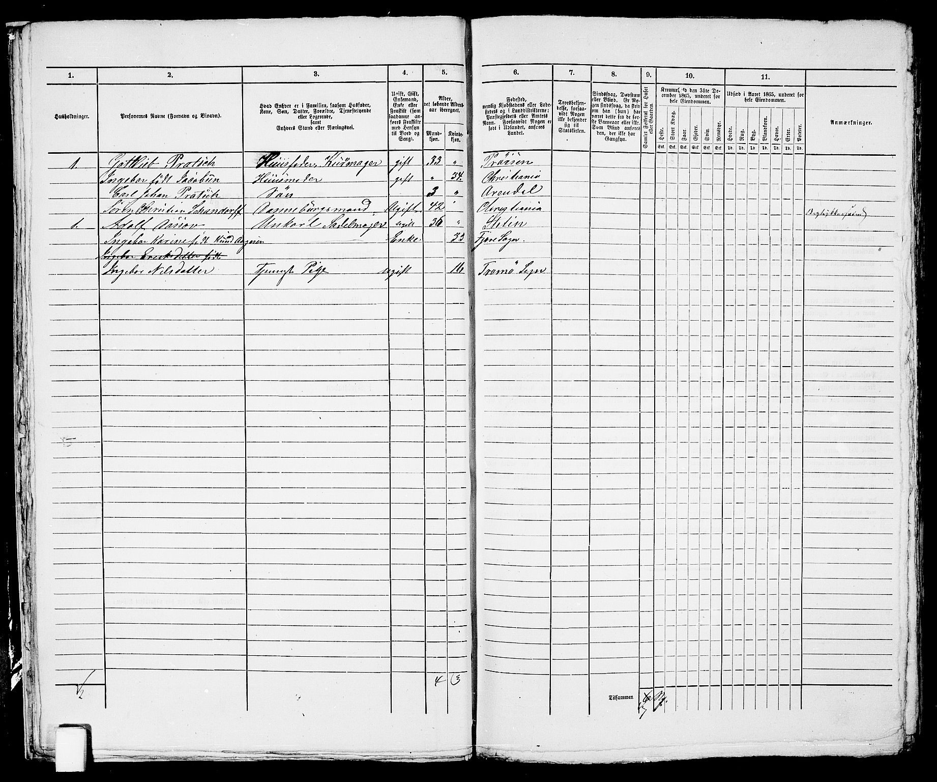 RA, 1865 census for Arendal, 1865, p. 366