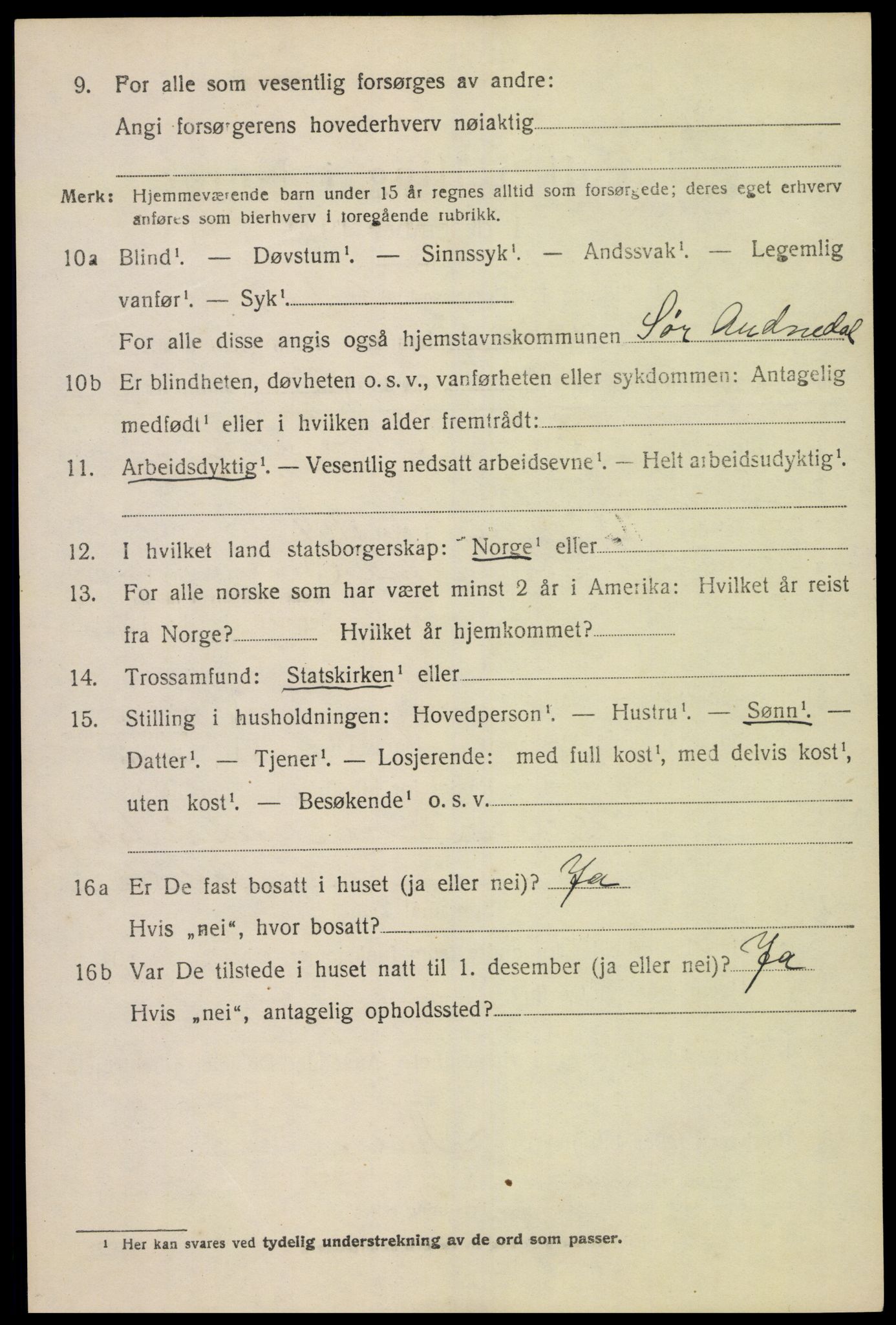 SAK, 1920 census for Sør-Audnedal, 1920, p. 2628