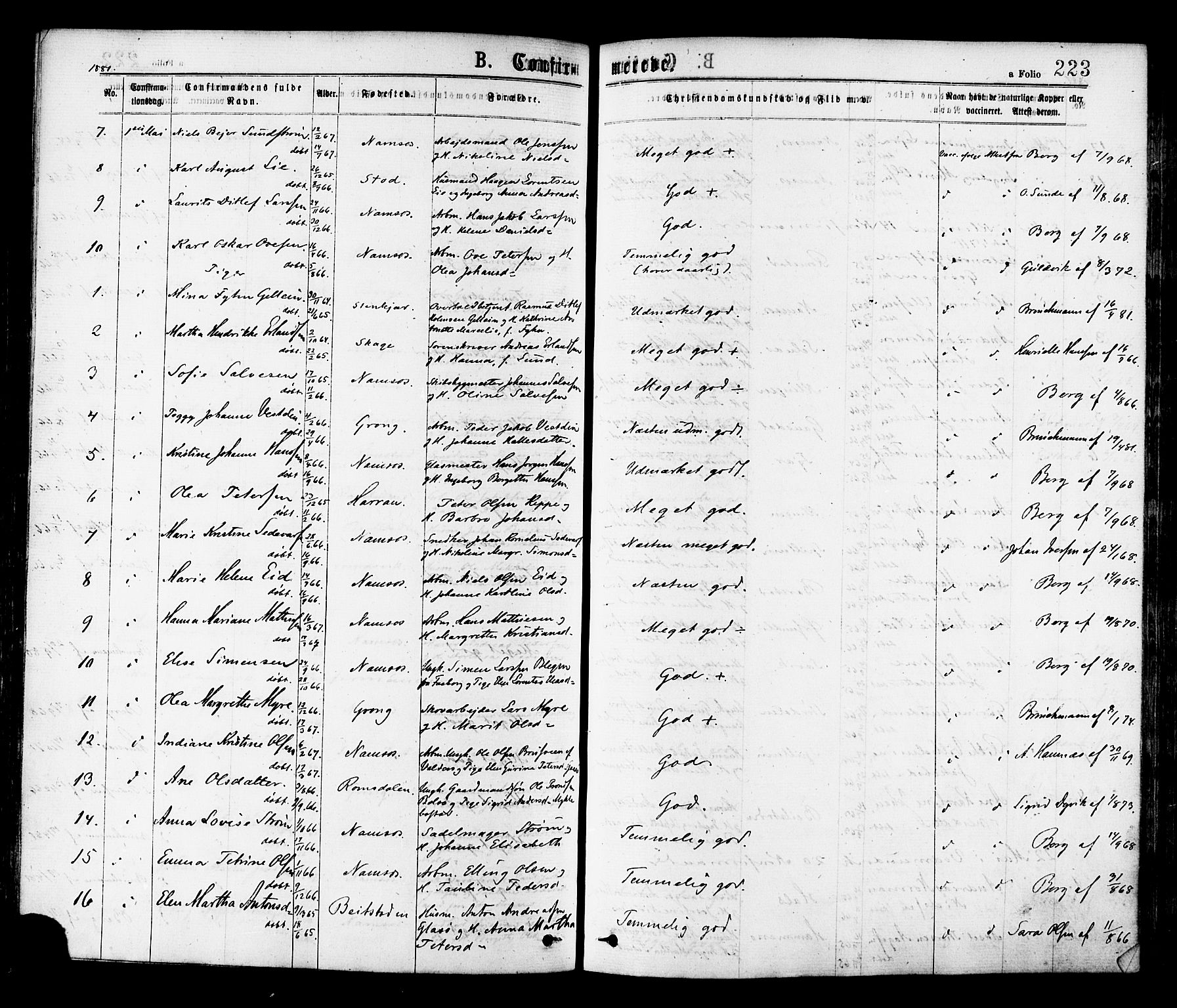 Ministerialprotokoller, klokkerbøker og fødselsregistre - Nord-Trøndelag, AV/SAT-A-1458/768/L0572: Parish register (official) no. 768A07, 1874-1886, p. 223