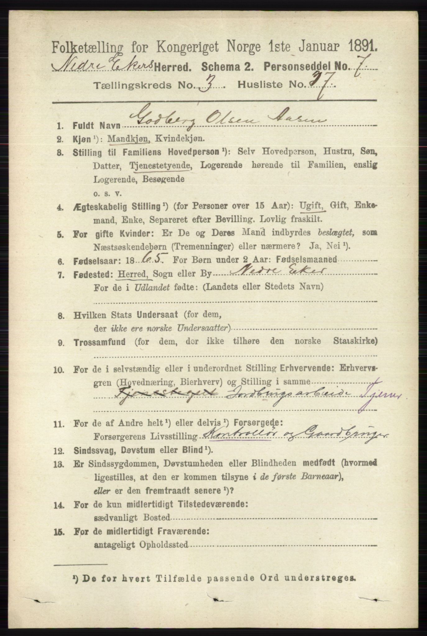 RA, 1891 census for 0625 Nedre Eiker, 1891, p. 1388