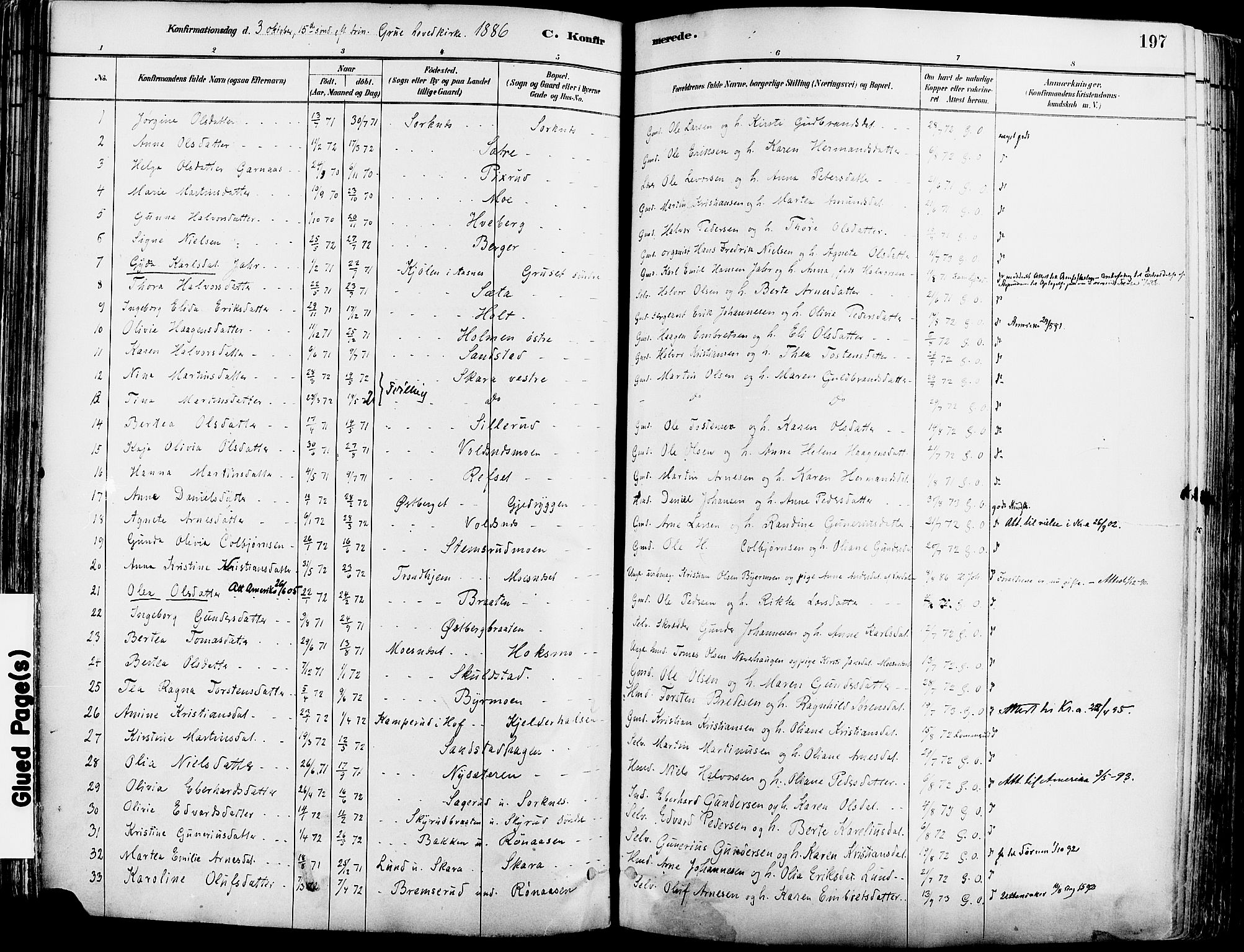 Grue prestekontor, AV/SAH-PREST-036/H/Ha/Haa/L0012: Parish register (official) no. 12, 1881-1897, p. 197