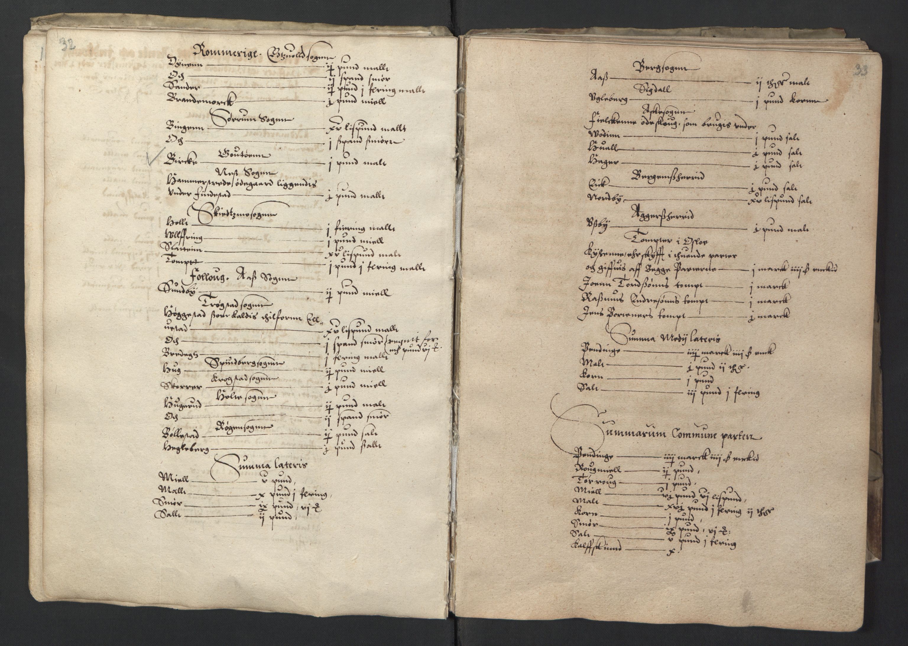 Stattholderembetet 1572-1771, RA/EA-2870/Ek/L0001/0001: Jordebøker før 1624 og til utligning av garnisonsskatt 1624-1626: / Jordebok for Oslo kapitel, 1595, p. 21