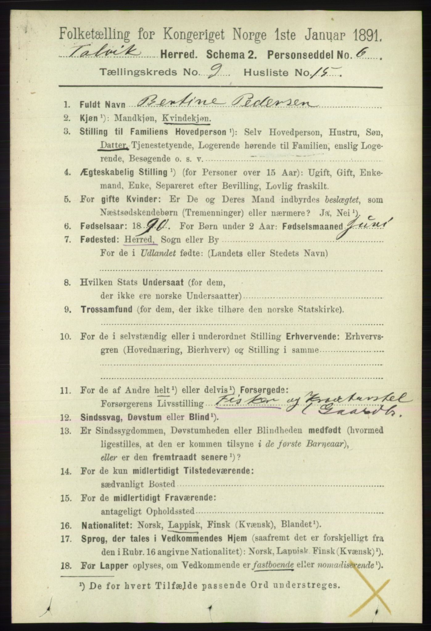 RA, 1891 census for 2013 Talvik, 1891, p. 2247