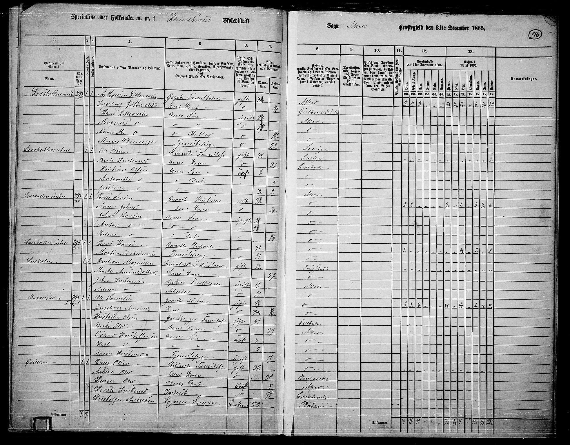 RA, 1865 census for Østre Aker, 1865, p. 394